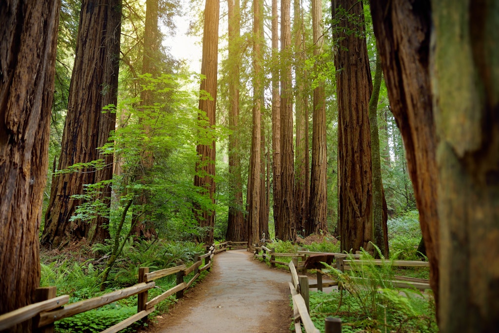 The 14 best day trips on the US West Coast - Lonely Planet