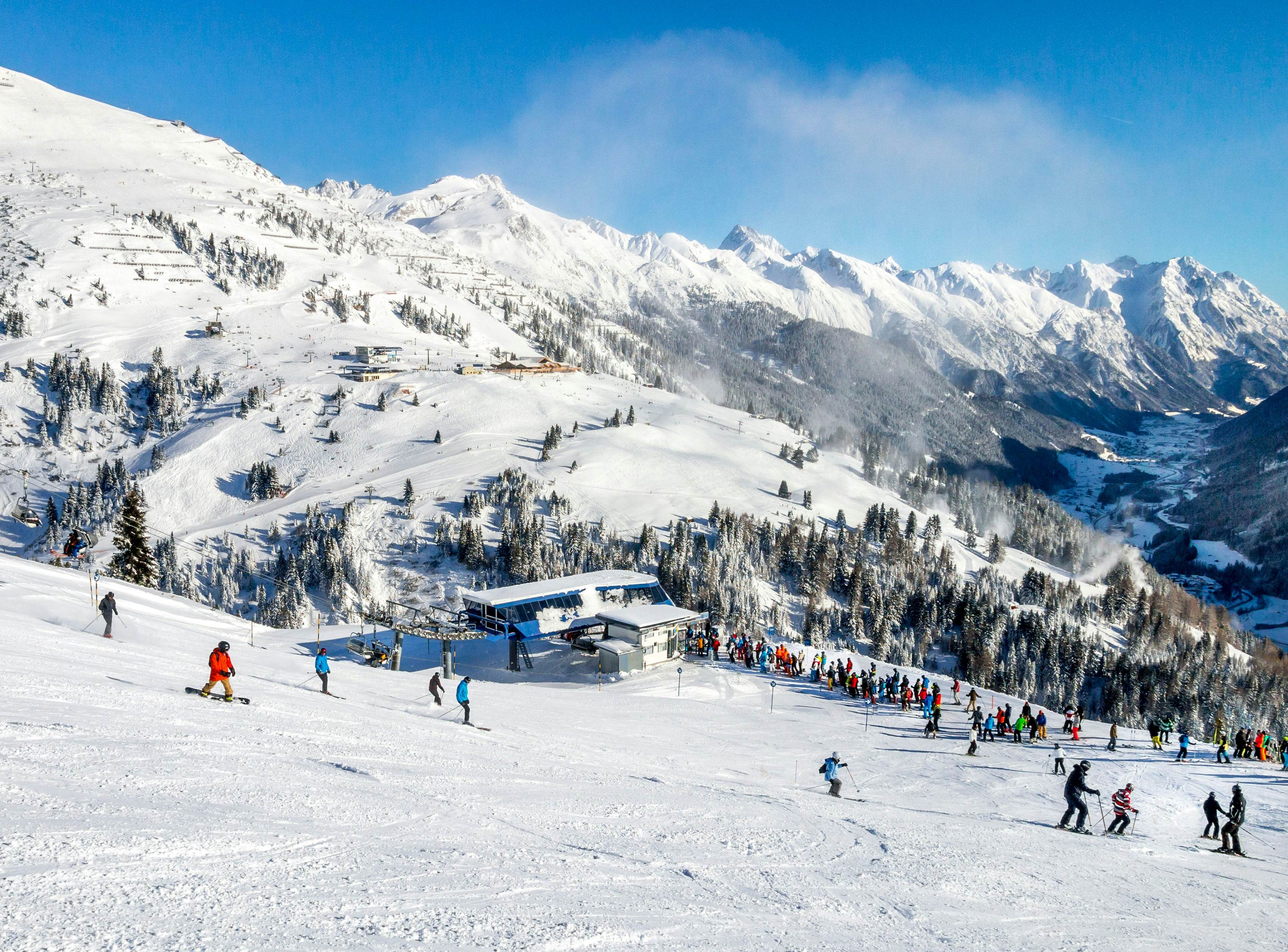 Skiing Osterich – Telegraph