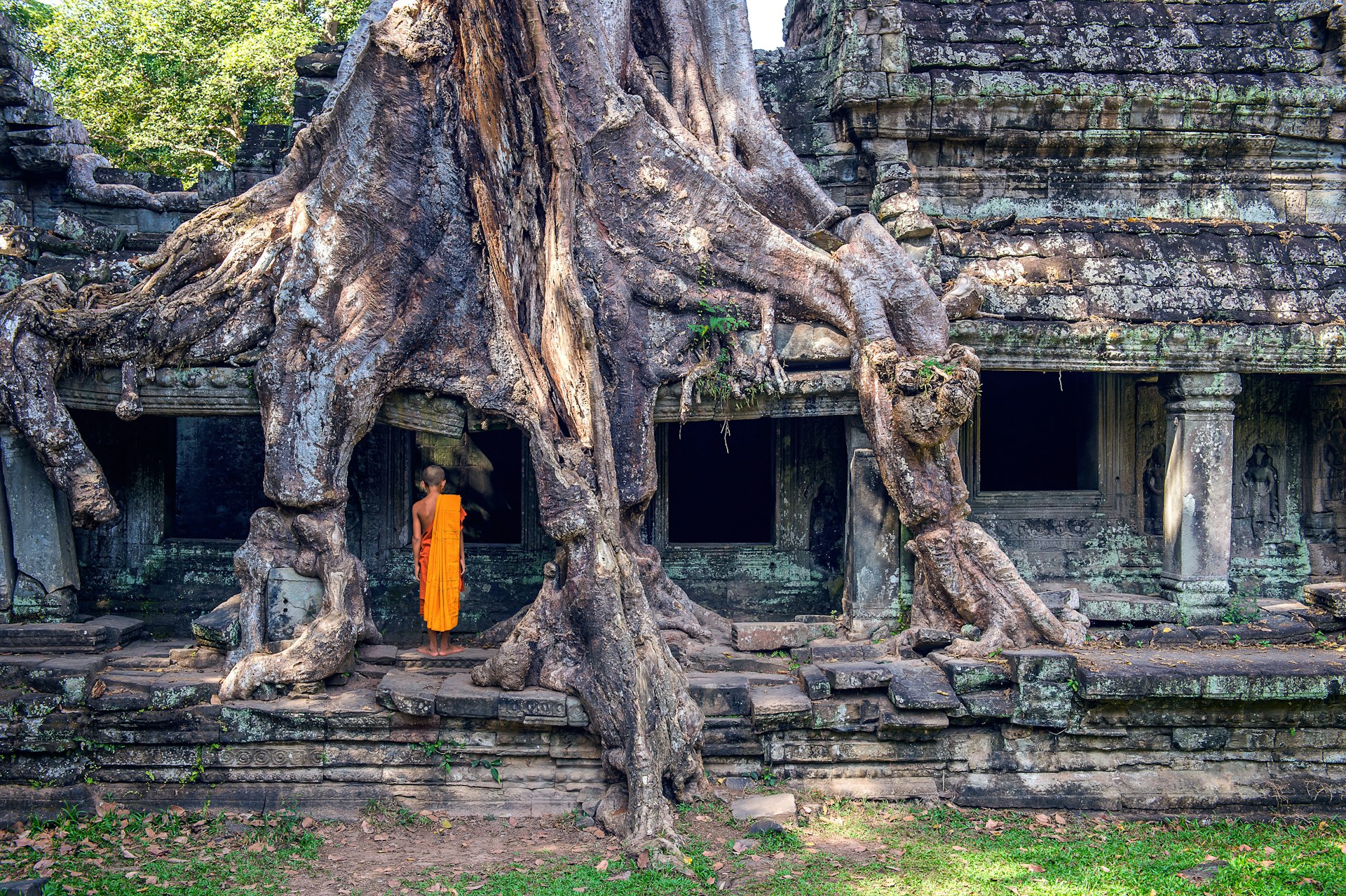 A monk wearing traditional orange robes stands among the large tree roots that cover temples of Ta Prohm