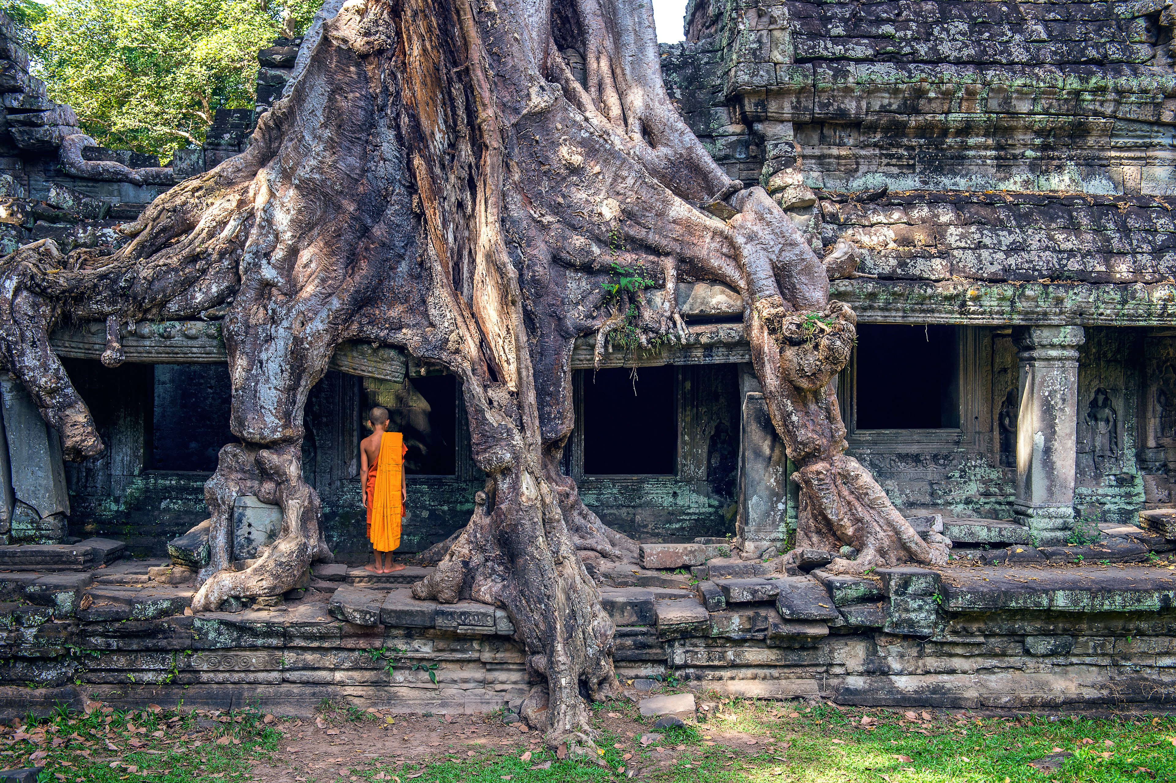 A monk wearing traditional orange robes stands among the large tree roots that cover temples of Ta Prohm