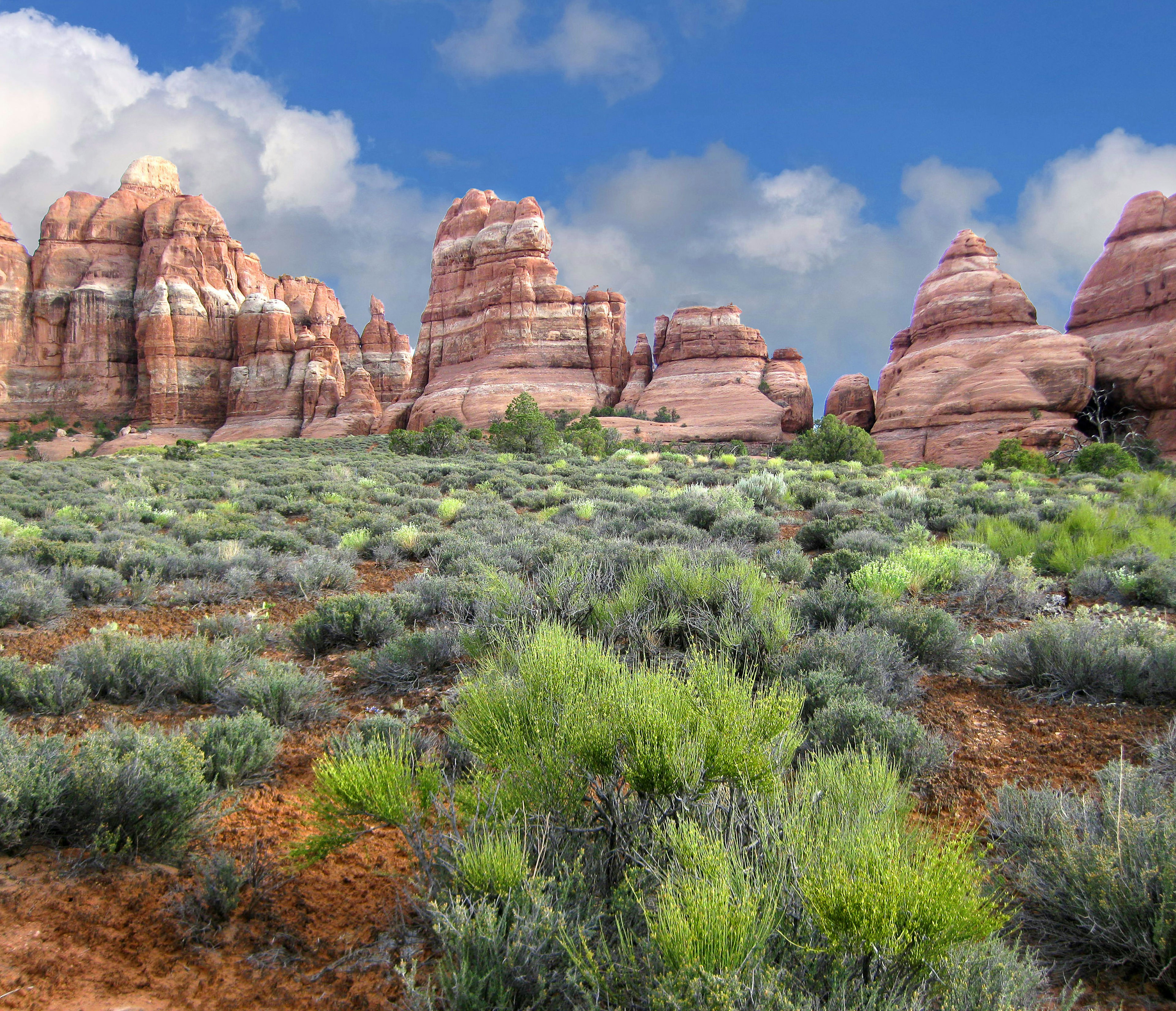 Rocky needles at Canyonlands National Park