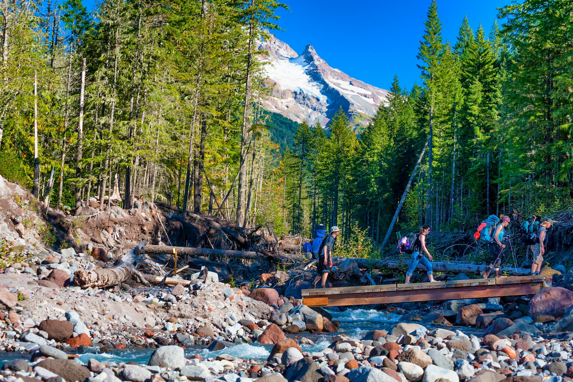 four hikers cross a wooden footbridge over the head of Sandy River in Mt. Hood National Forest