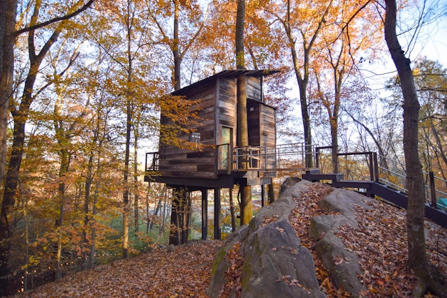 Tree house at Treetop Hideaways surrounded by trees and fall leaves in Chattanooga, Tennessee
