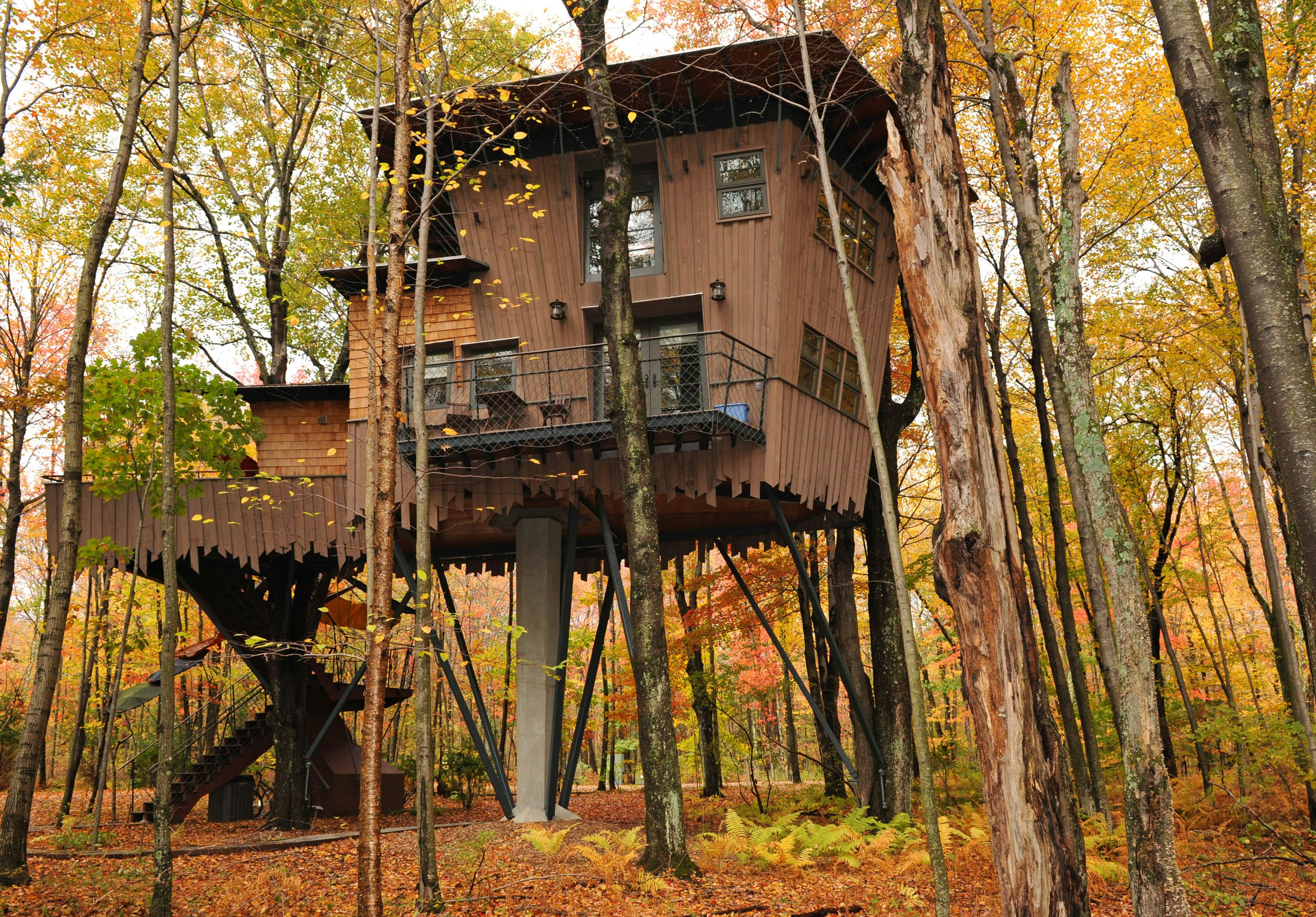 Winvian Treehouse Cottage surrounded by colorful fall leaves in Morris, Connecticut