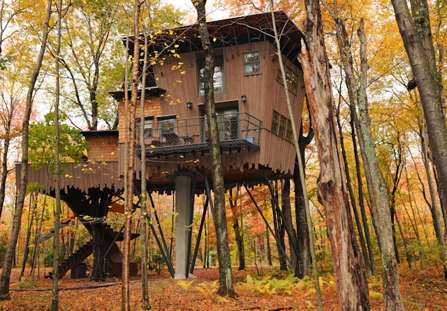 Winvian Treehouse Cottage surrounded by colorful fall leaves in Morris, Connecticut