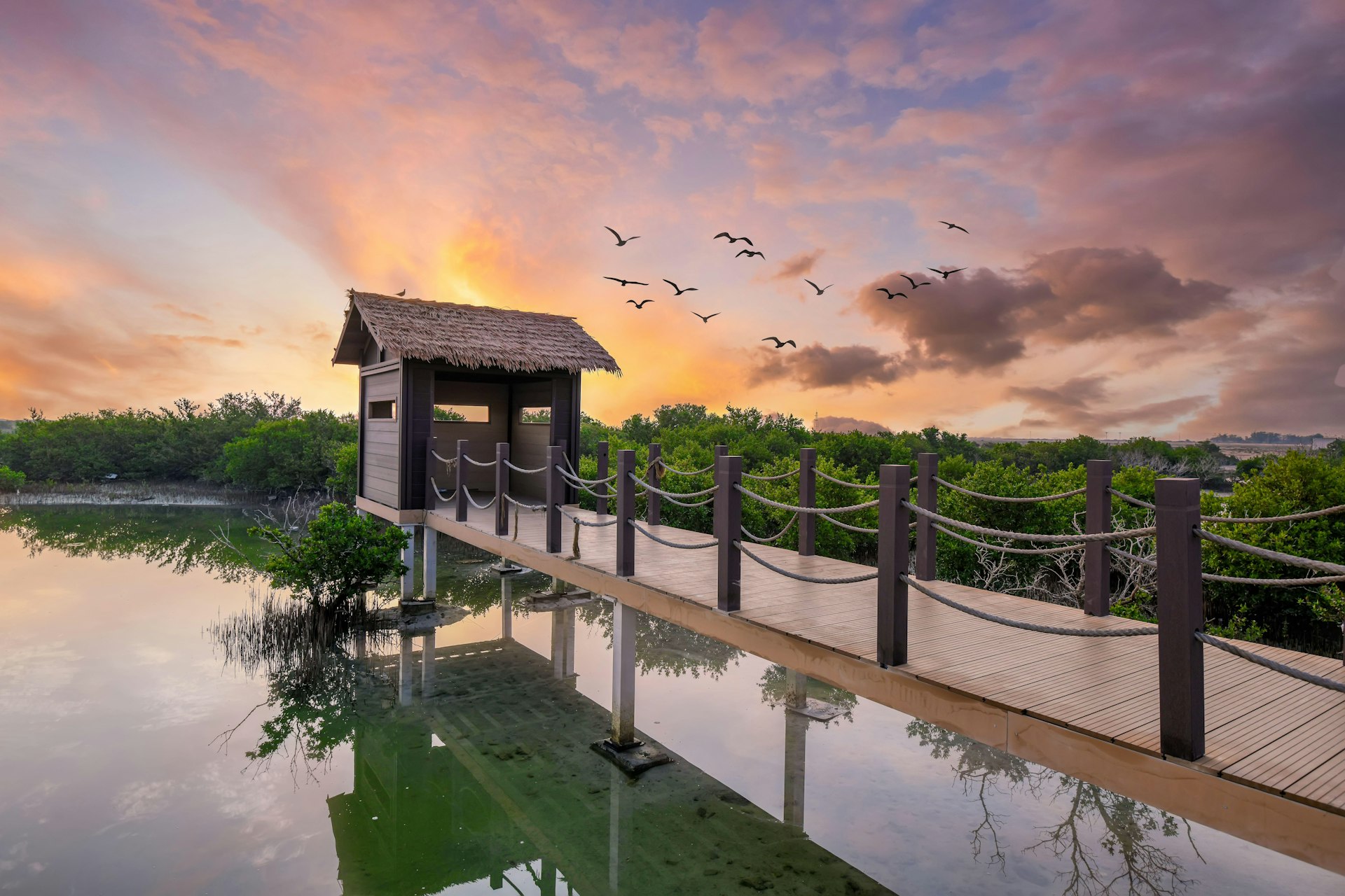 The sun sets and white birds fly over a long boardwalk that ends in a small viewing hut with horizontal punch-out windows peeking out over the mangrove wamp of Al Thakhira National Reserve in Qatar