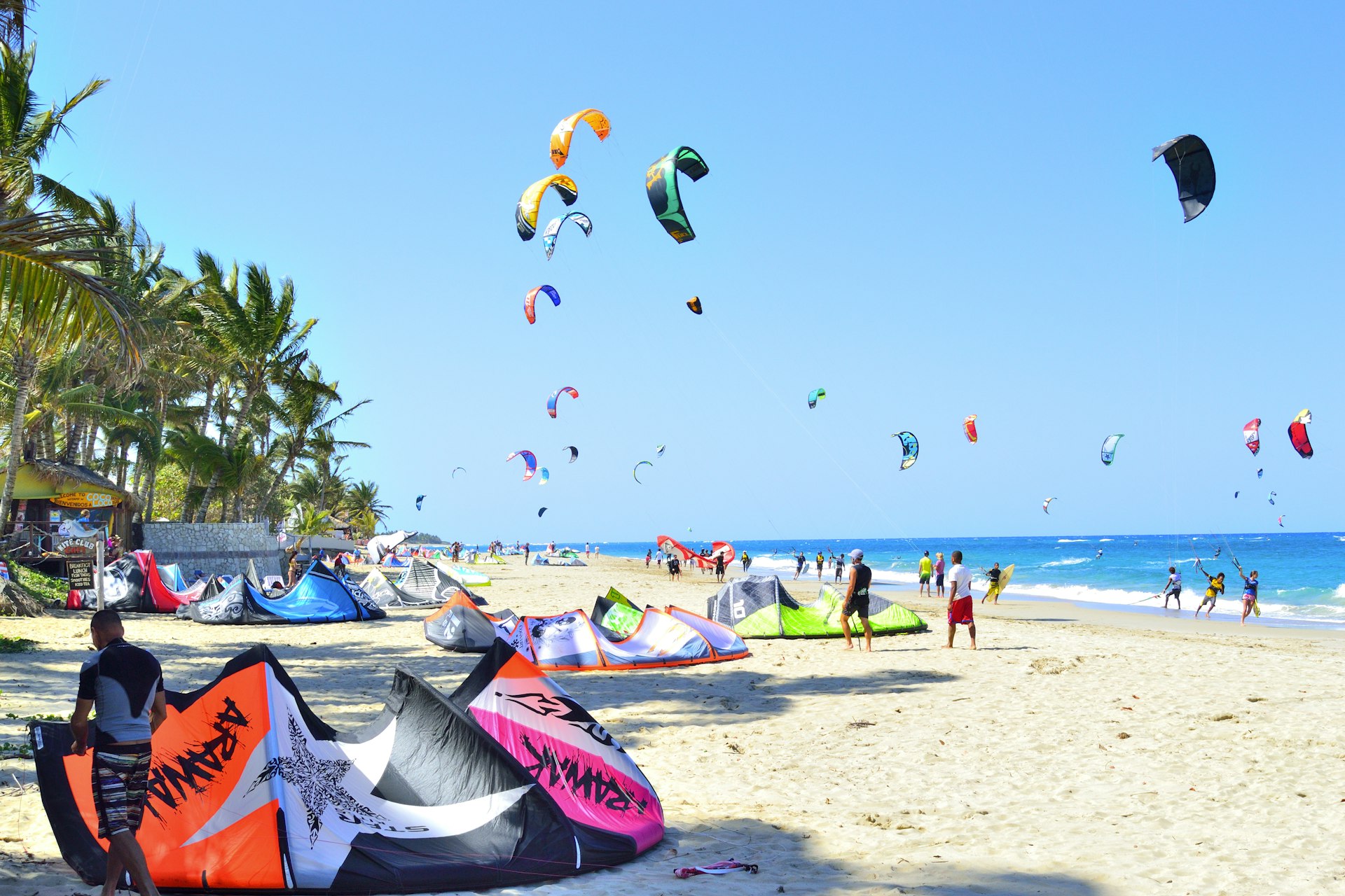 Groups of people fly their kites on a sandy beach in Cabarete, Dominican Republic