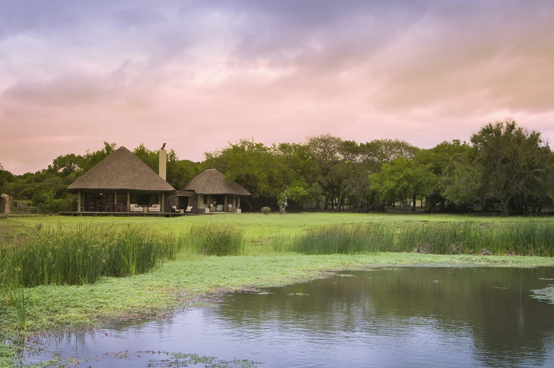 Luxury huts stand near water at a game reserve