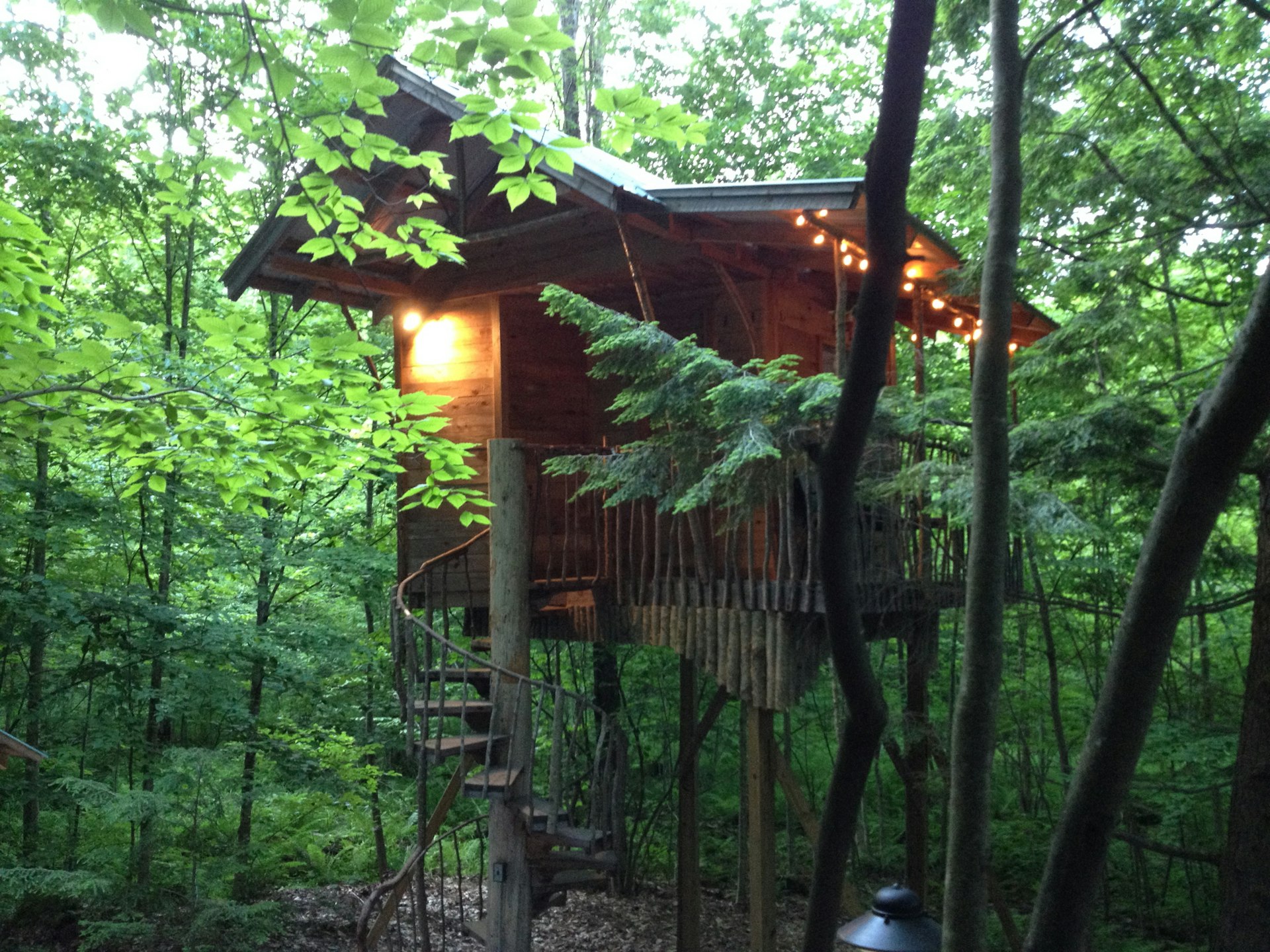A spiral staircase leads up to the Adirondack tree house retreat, surrounded by a lush green forest