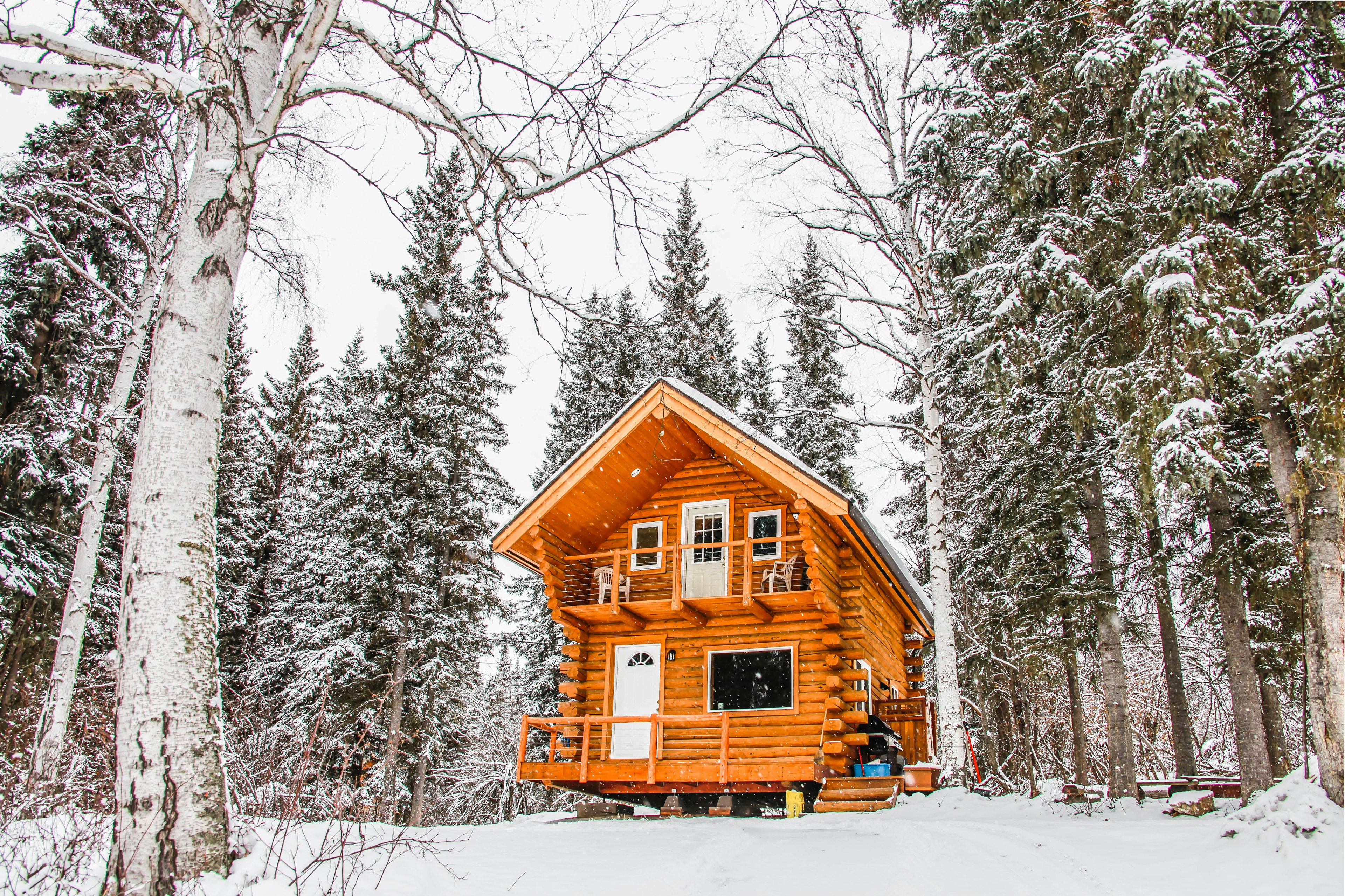 An Alaskan log cabin in the snow