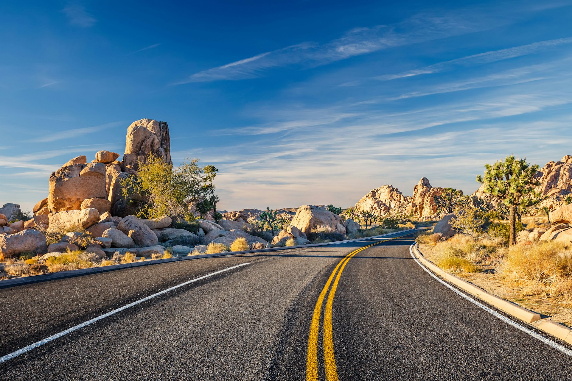 An empty road through the Joshua Tree National Park in the Mojave Desert