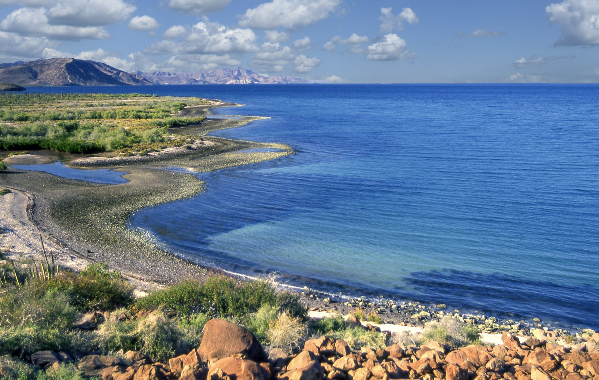 Bahía Concepción is a bay on the Gulf of California, in southeastern ѳܱé Municipality and the central-eastern part of the Baja California Peninsula, in Baja California Sur state, Mexico