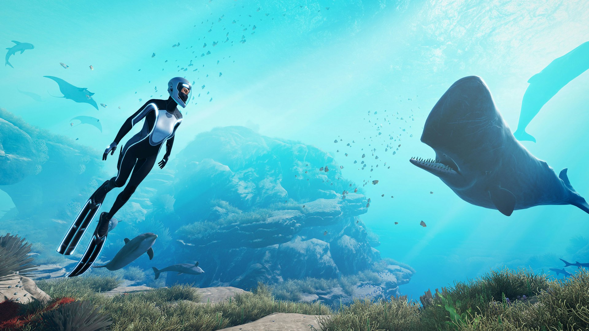 The protagonist of video game Beyond Blue swims towards the camera. Behind her are a number of sea creatures, including dolphins and whales. 