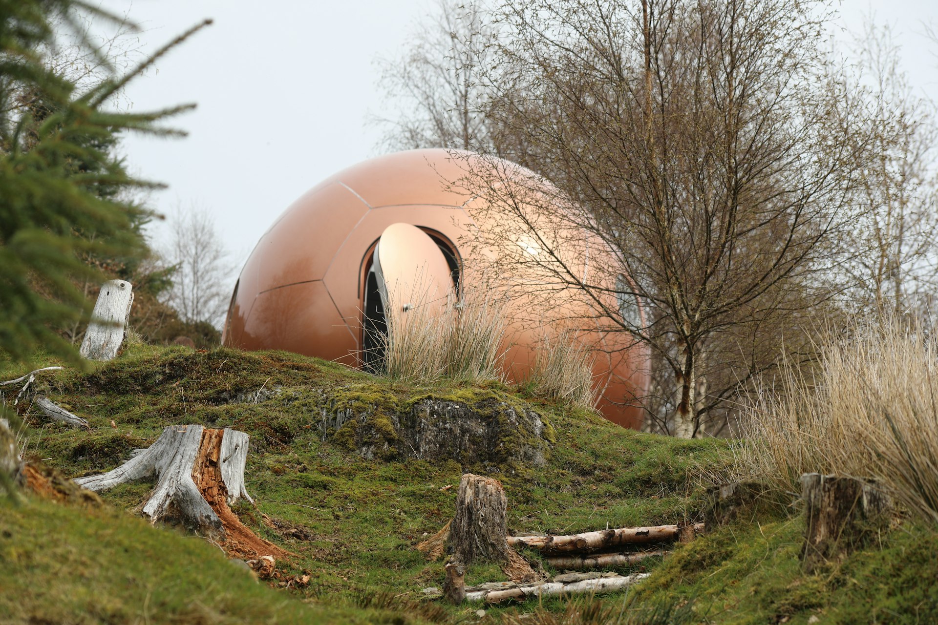 A spherical copper-colored hut tucked among trees