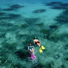 Snorkellers over reef.