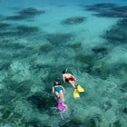 Snorkellers over reef.