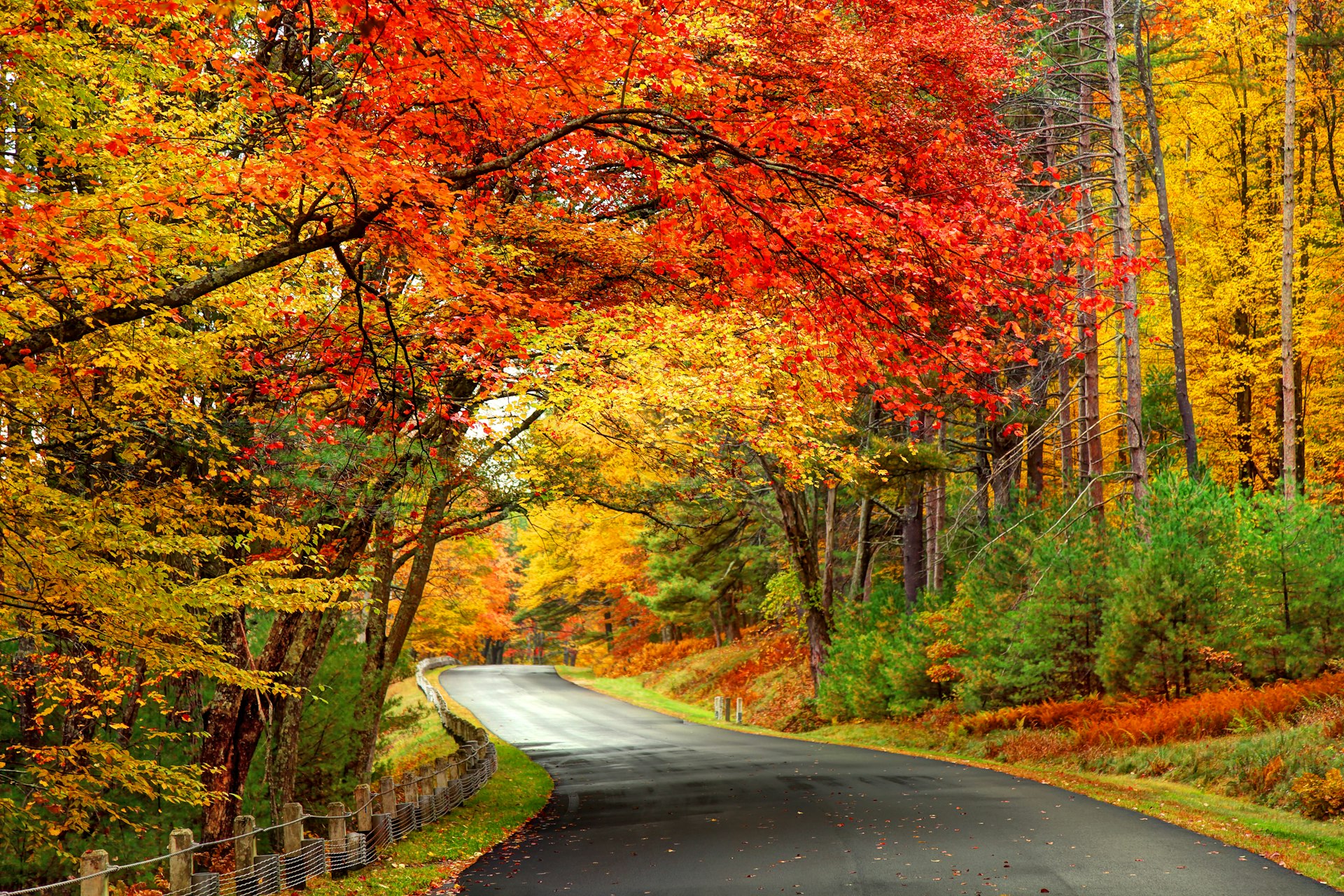 A road lined with fall colors in the Quabbin Reservoir Park area of Massachusetts