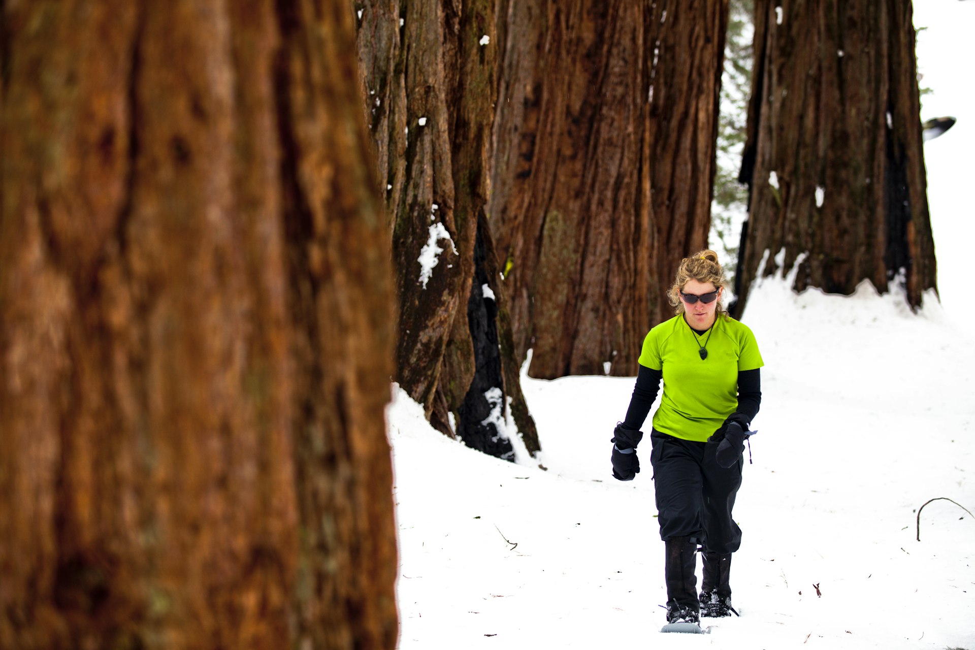 A female hiker snowshoes through Sequoia National Park, California.
