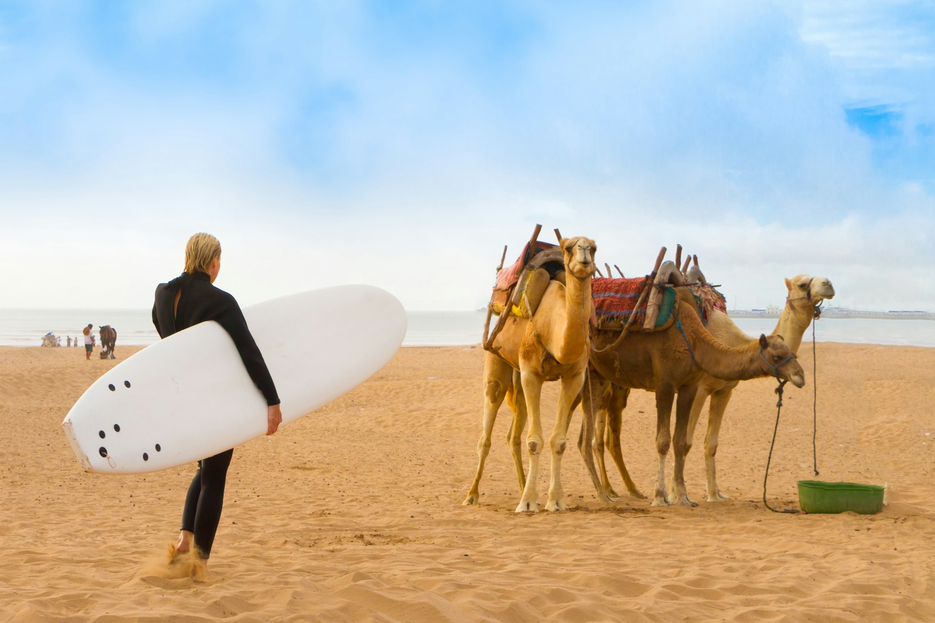 A woman with a surfboard stands in the beach in front of camels in Essaouira, Morocco