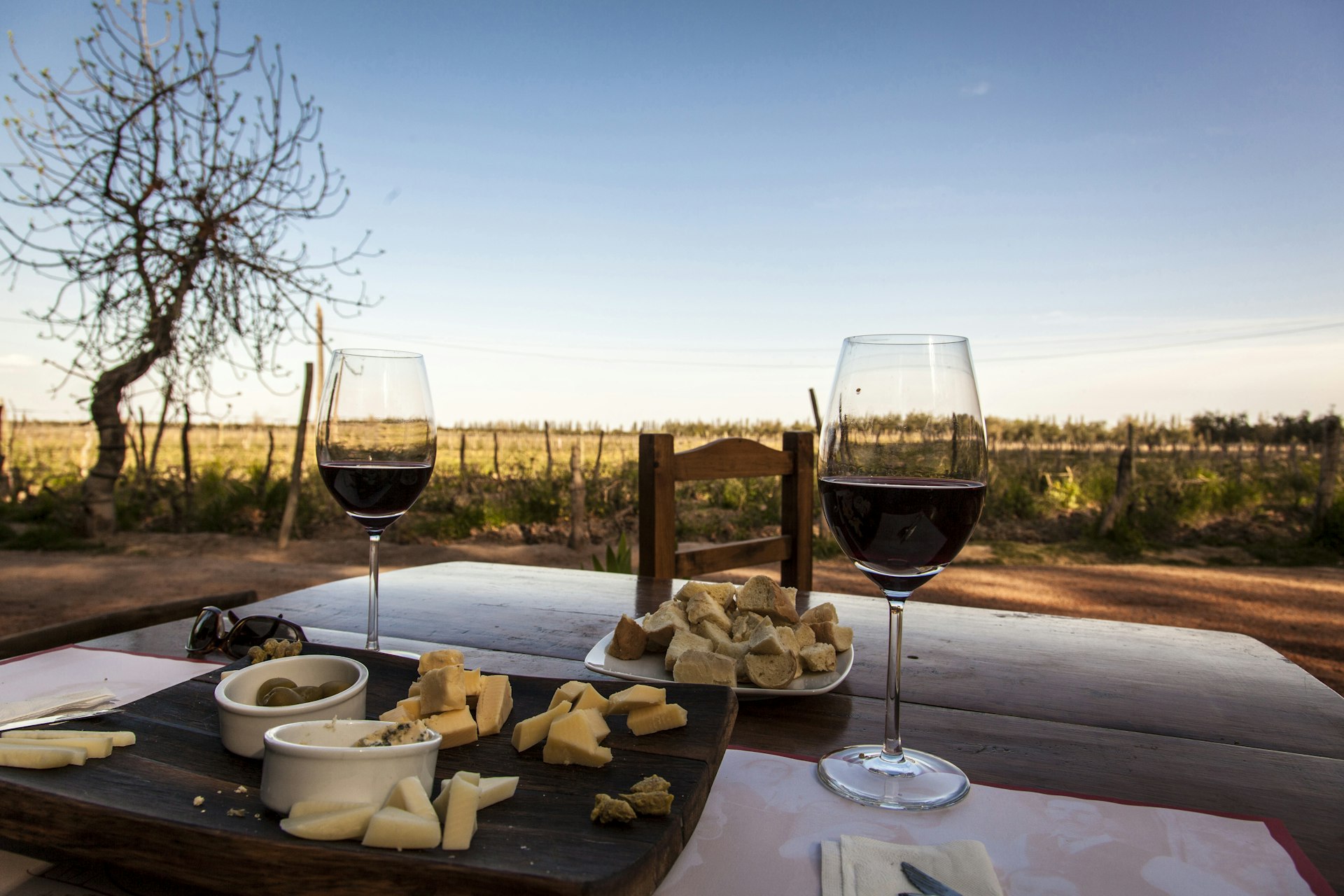 A platter of cheese and two glasses of red wine at a rustic outdoor table in Mendoza, Argentina, South America