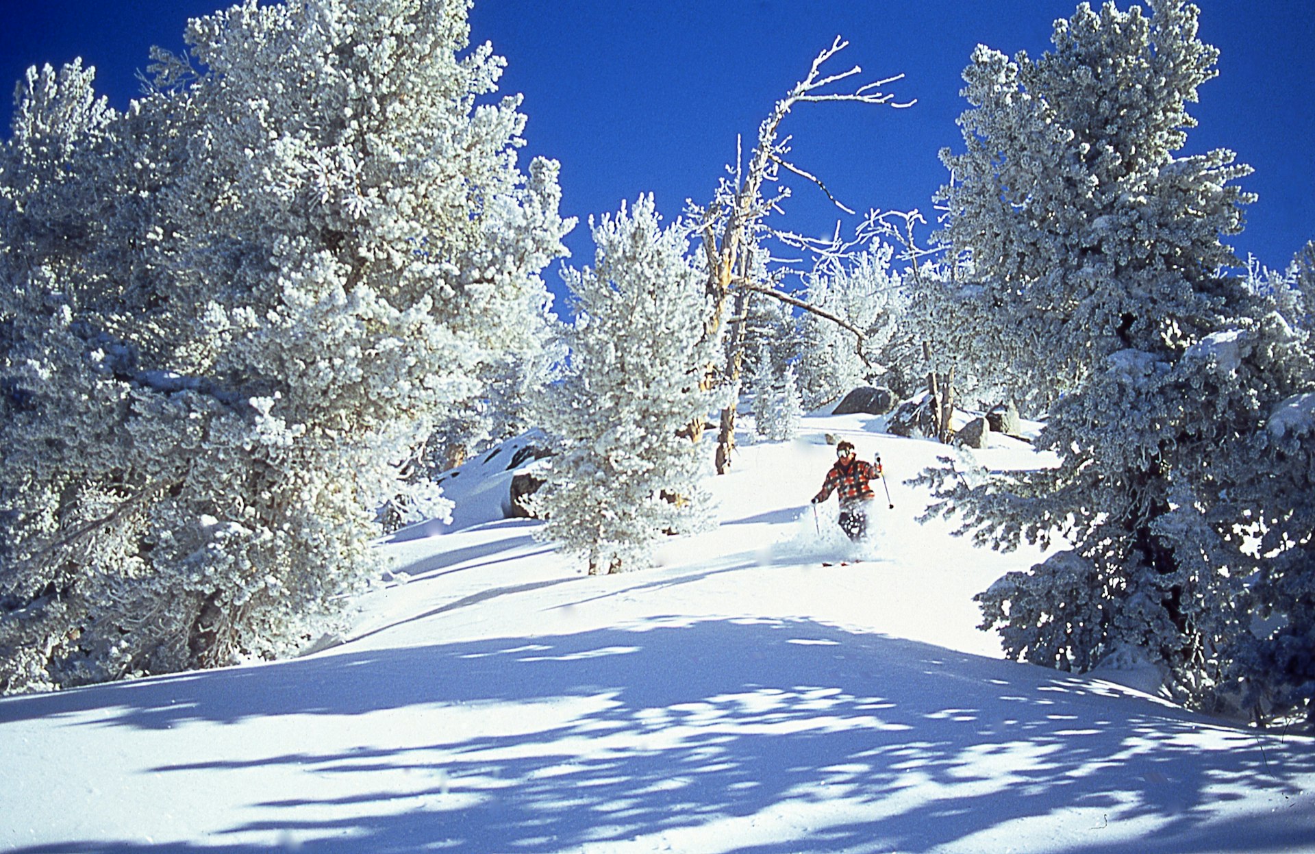A male skier skiing downhill on powder snow, Lake Tahoe, California, USA