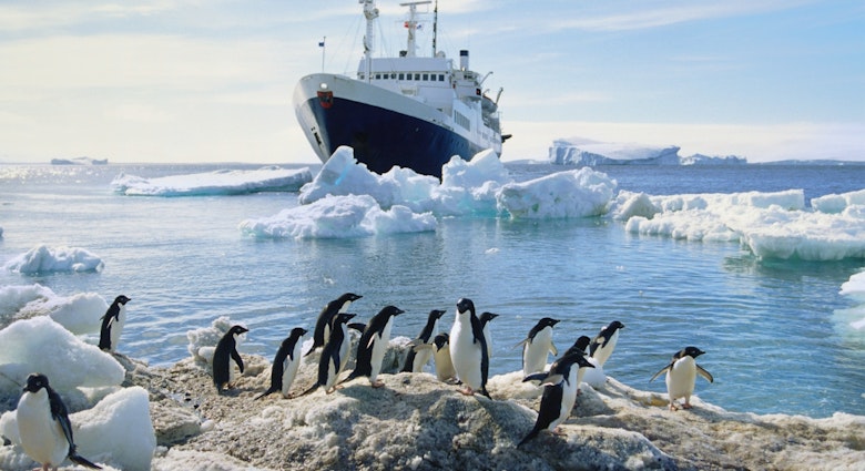 A group of penguins standing on an icy beach, ship in the water in the background, Antarctica