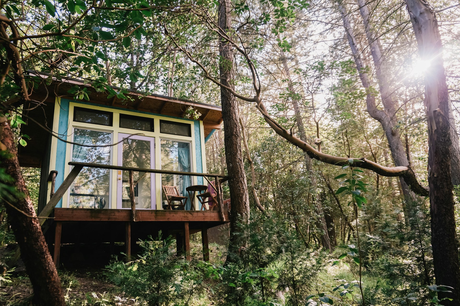 A glass-front cabin nestled in the trees