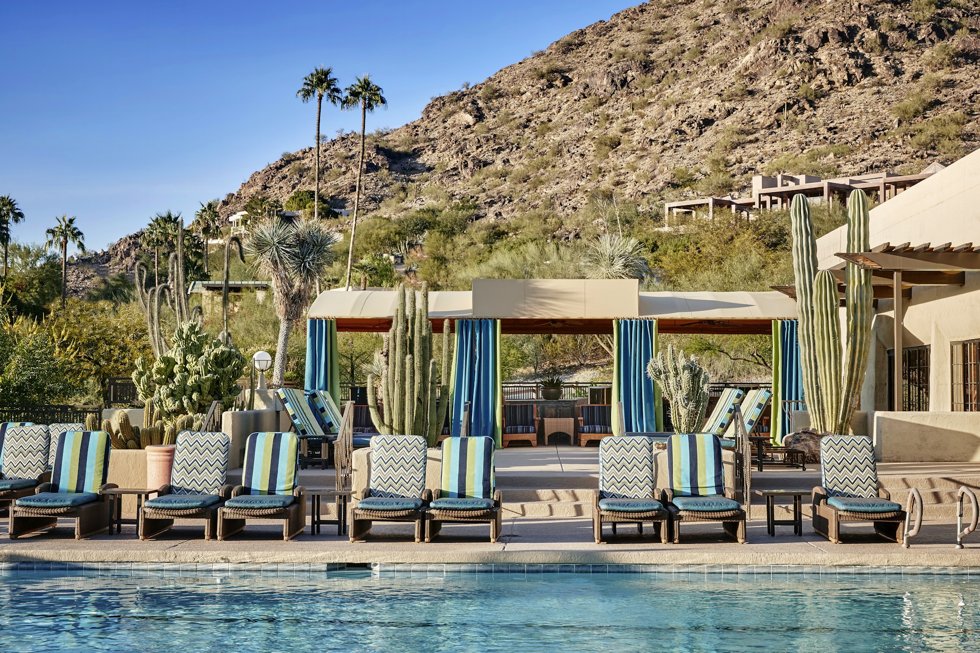 Sun loungers lined up alongside a pool. Cactuses decorate the poolside and hilly terrain stretches out beyond