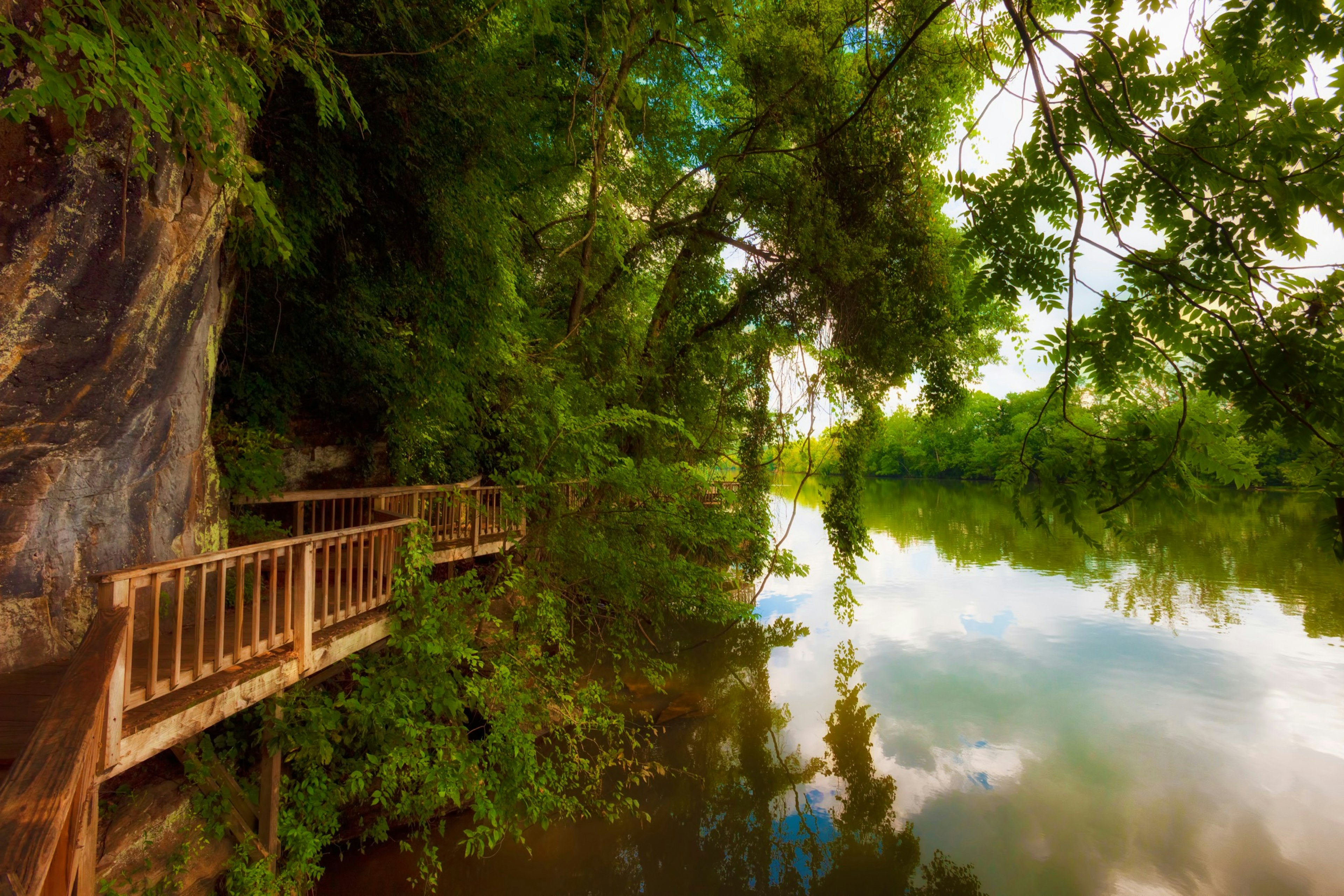 Knoxville_Outdoors_Ijams_Boardwalk.jpg