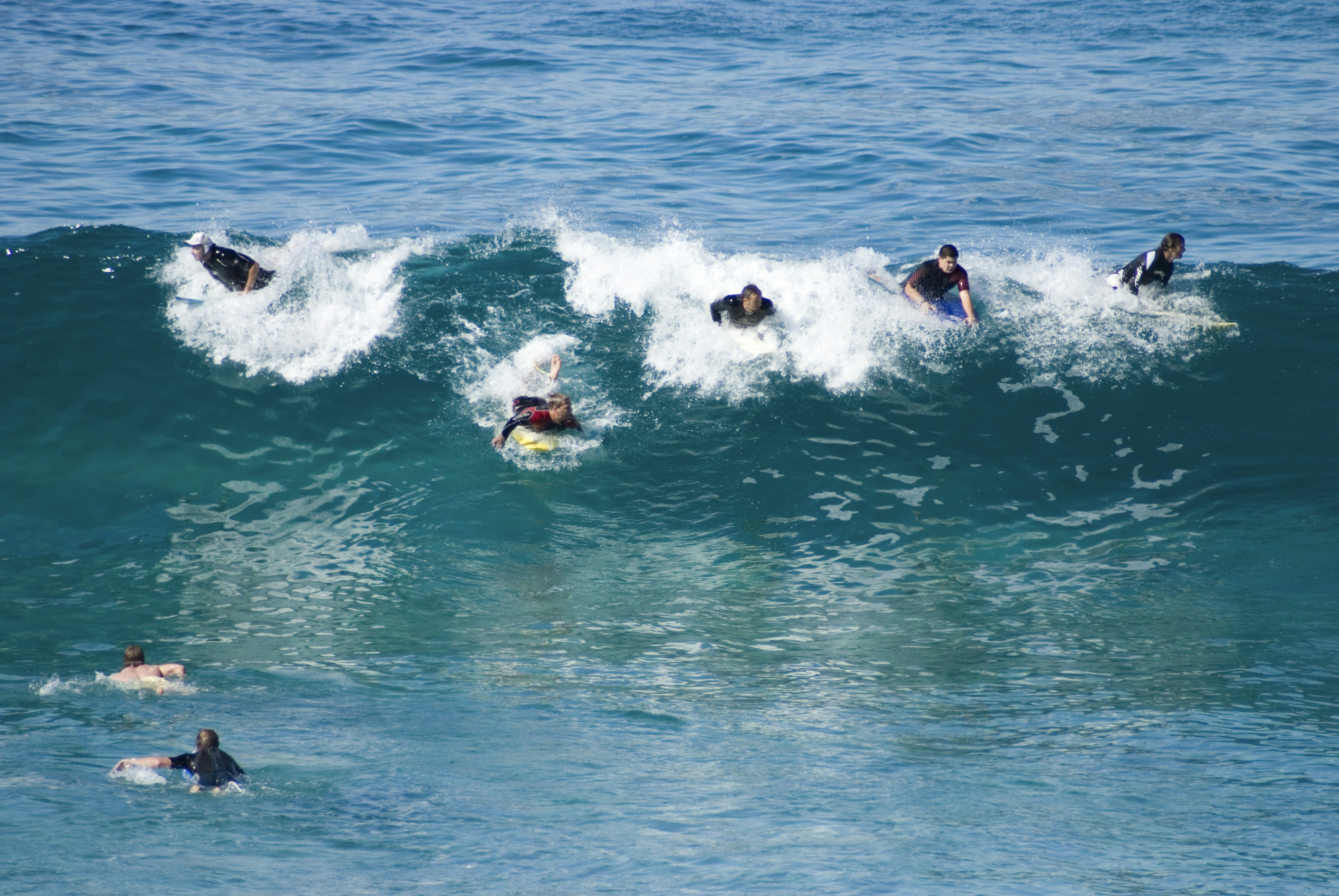 Surfers catching wave at Bronte Beach.