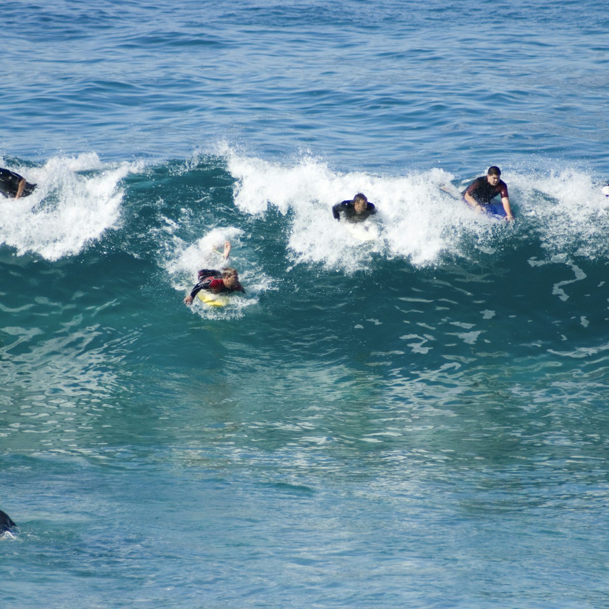 Surfers catching wave at Bronte Beach.