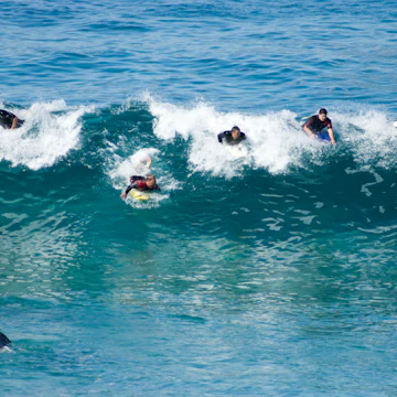 Surfers catching wave at Bronte Beach.