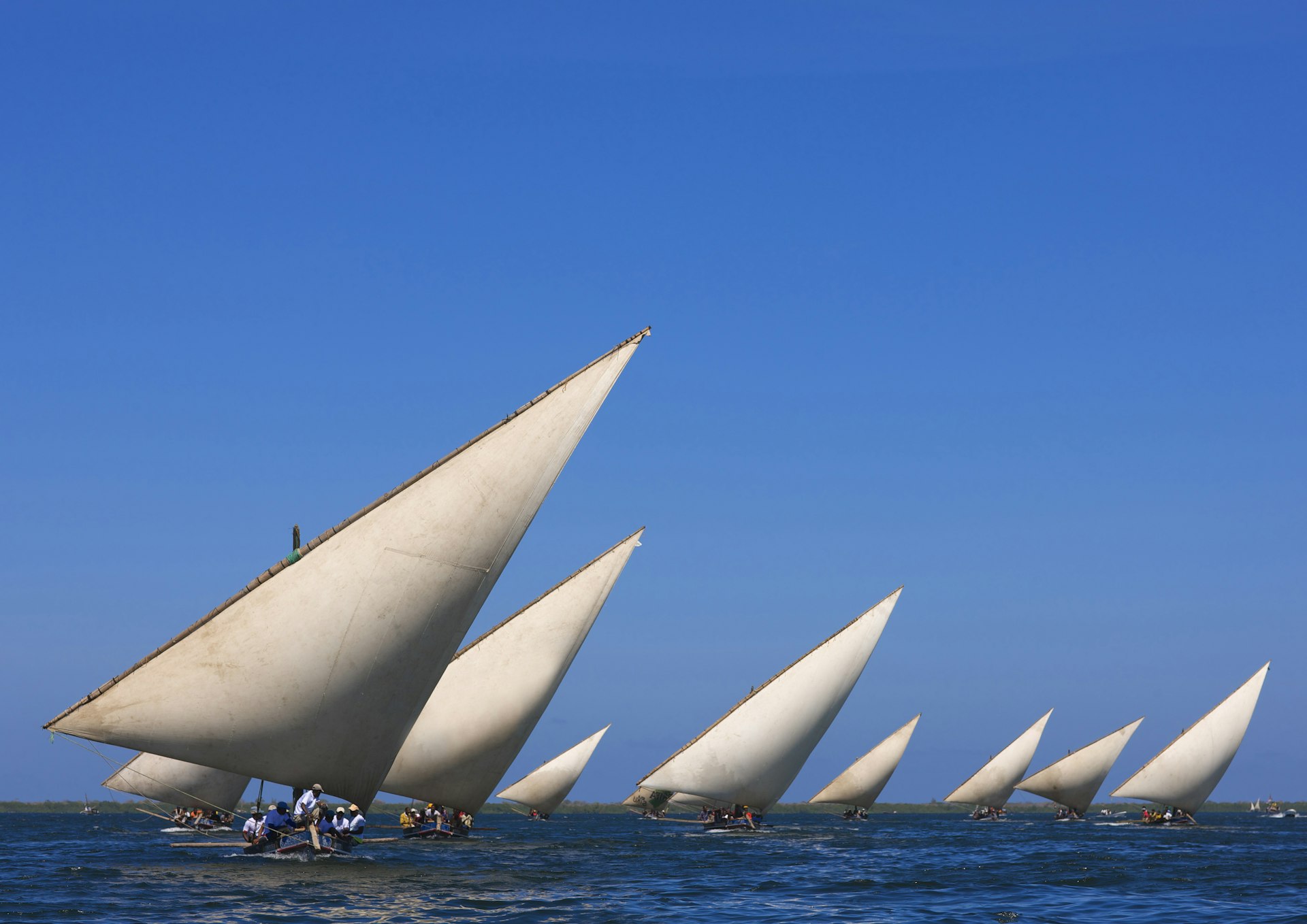 Dhows leaning into the wind under a blue sky