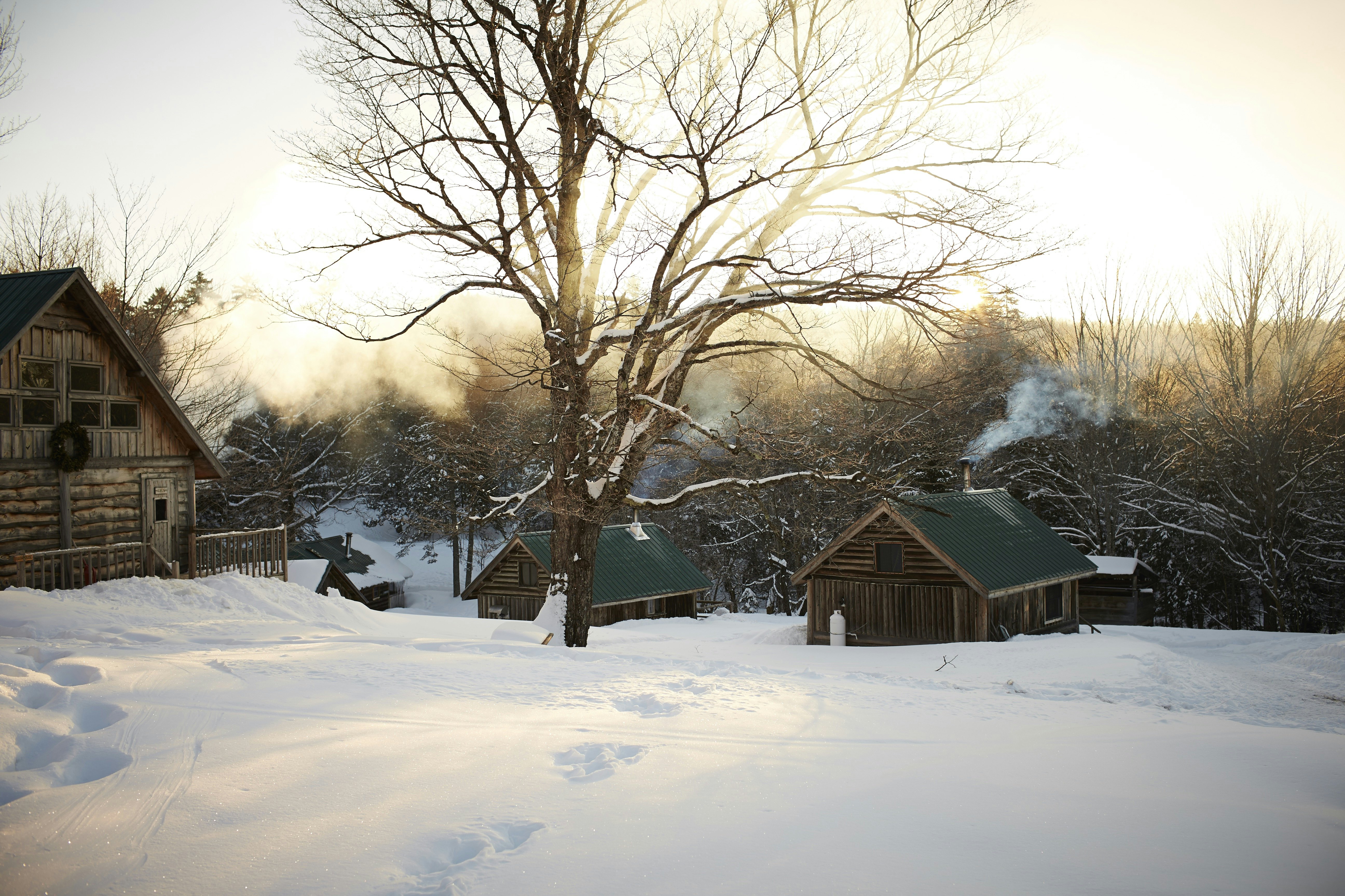 A snowy scene with cabins