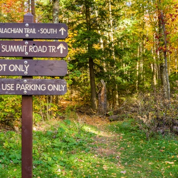 Information Wooden Signs at the Beginning of a Mountain Path. Mount Greylock, The Berkshires, MA.
