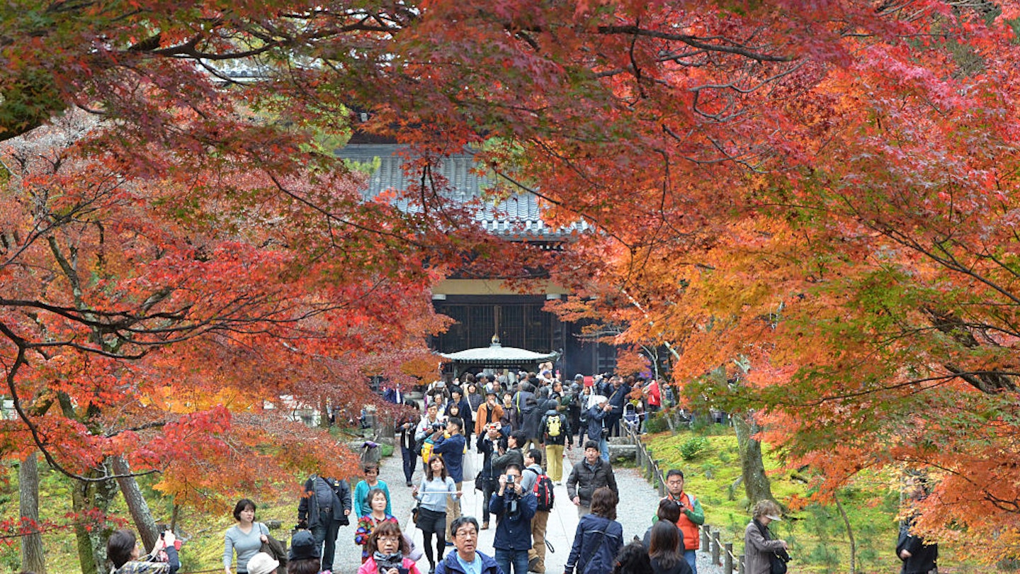 KYOTO, JAPAN - NOVEMBER 21:     Visitors enjoy autumn colours at Nanzenji Temple on November 21, 2016 in Kyoto, Japan.  (Photo by The Asahi Shimbun via Getty Images)