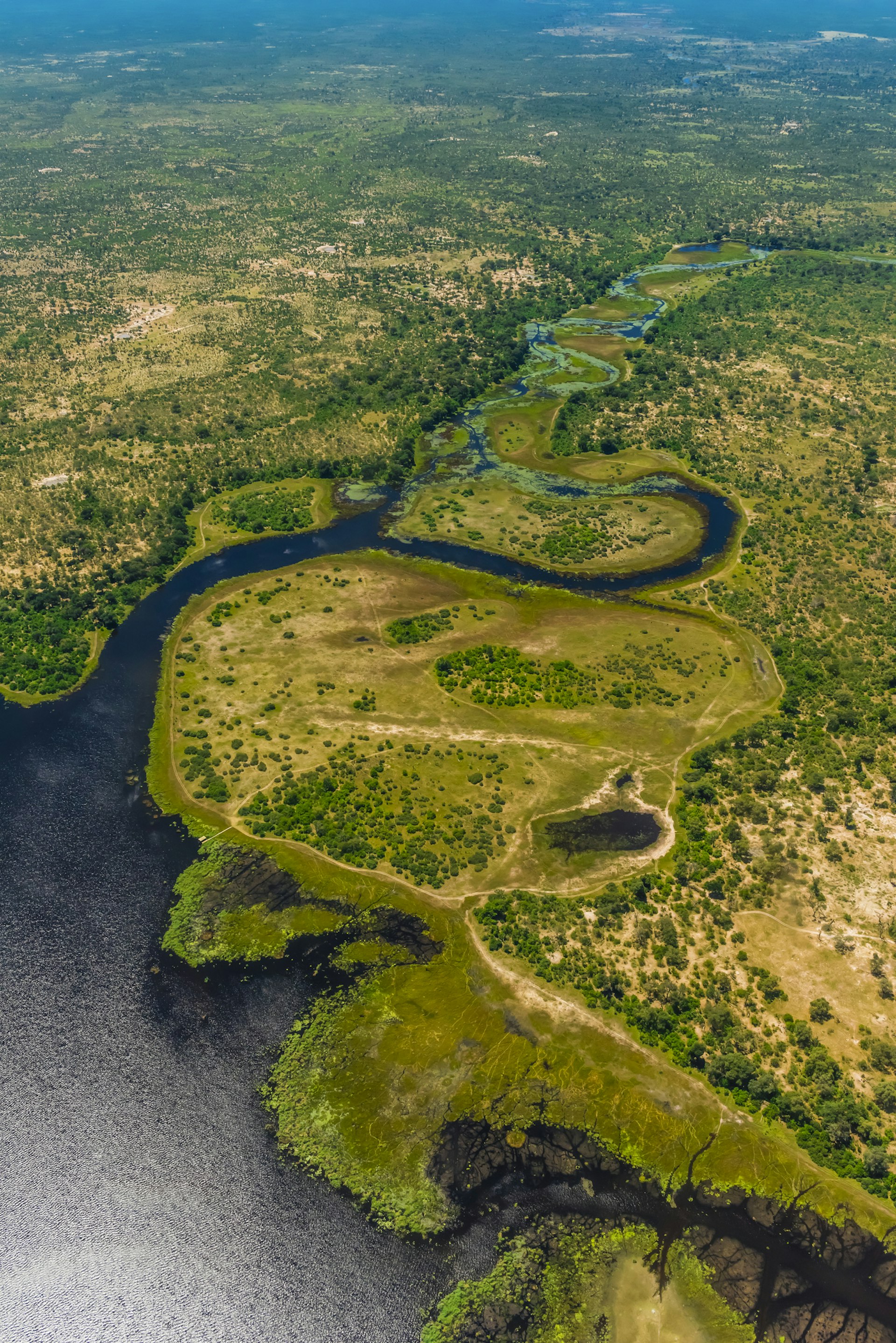 Aerial view, Okavango Delta, Botswana.