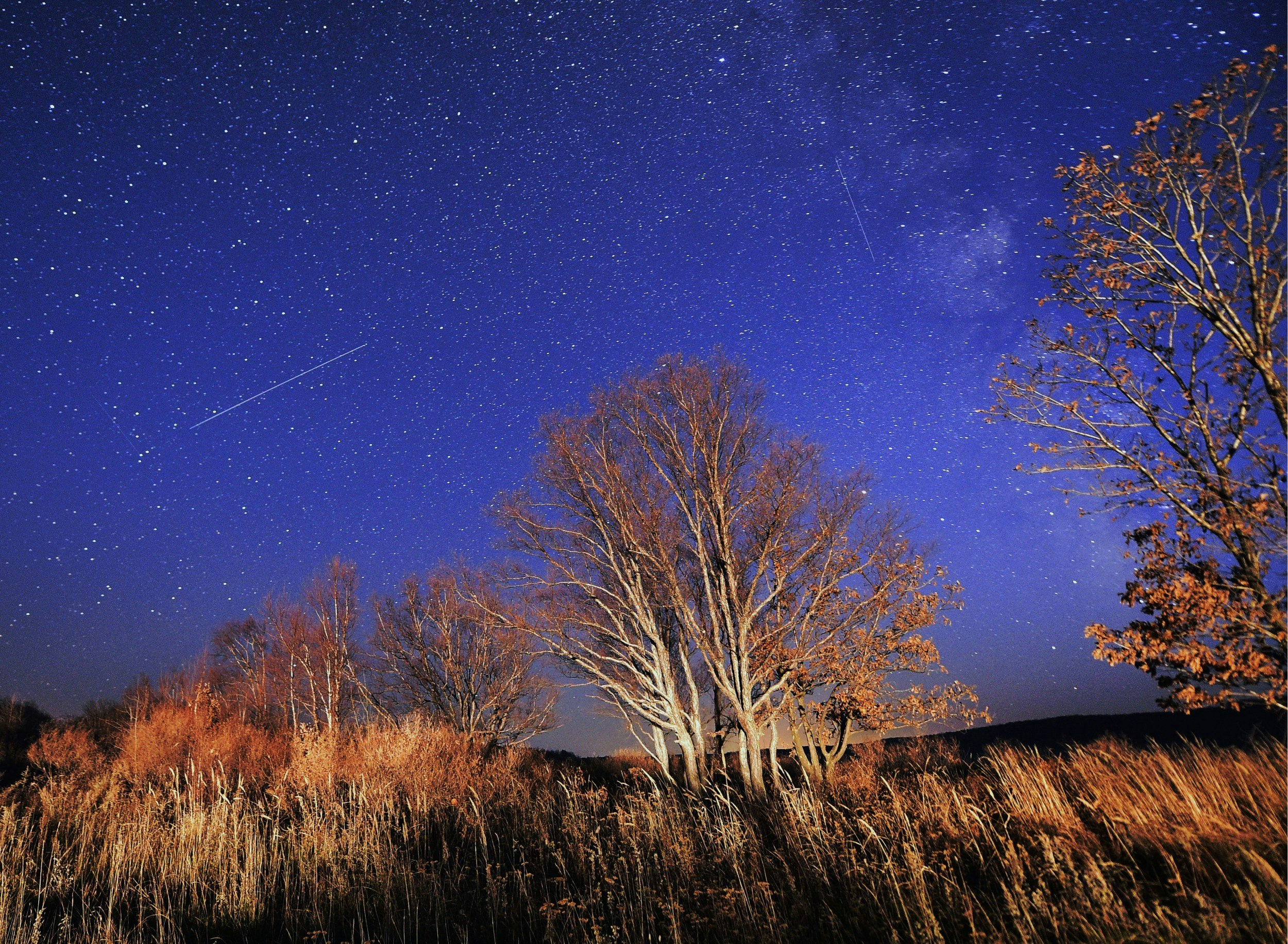 Meteors streak across the night sky during the Orionid meteor shower