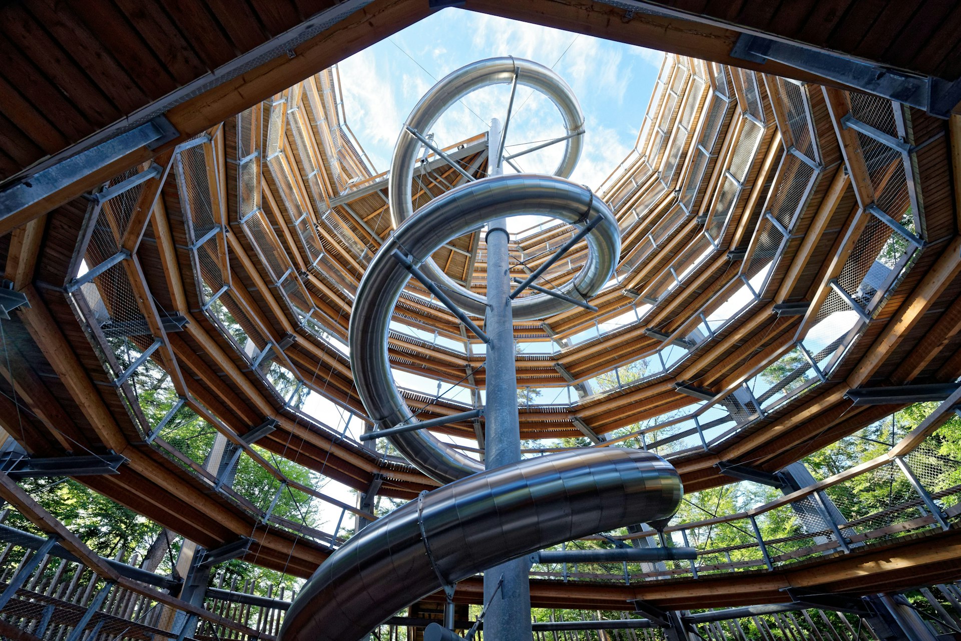 A shot up the inside of a spiral walkway winding upwards towards the tree canopy
