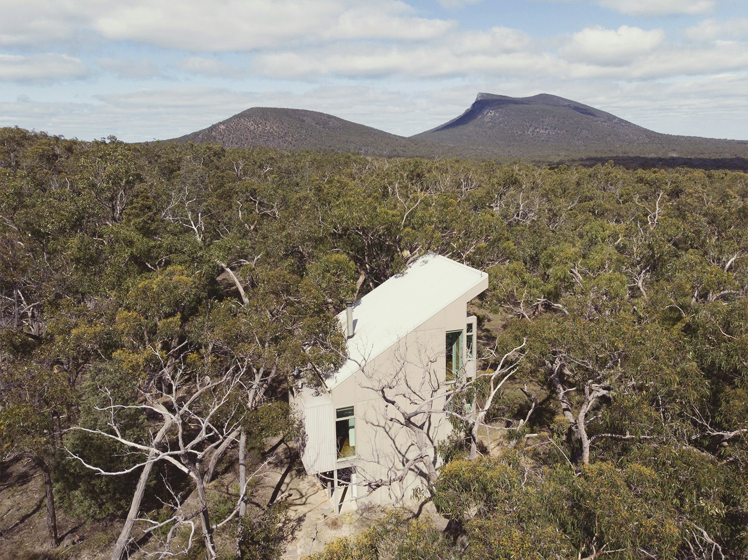 A white building surrounded by dense trees