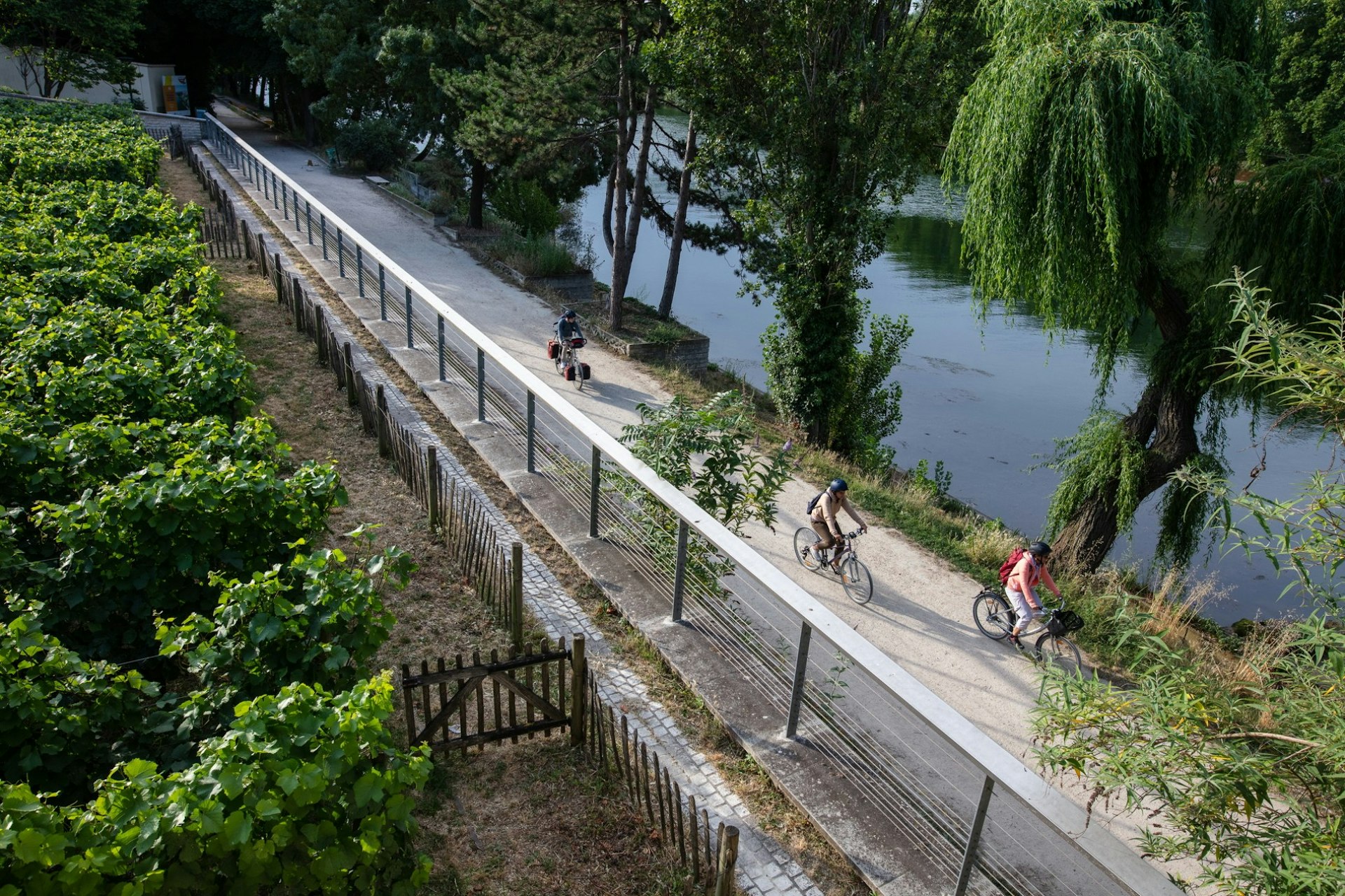 Cyclists riding their bikes in France