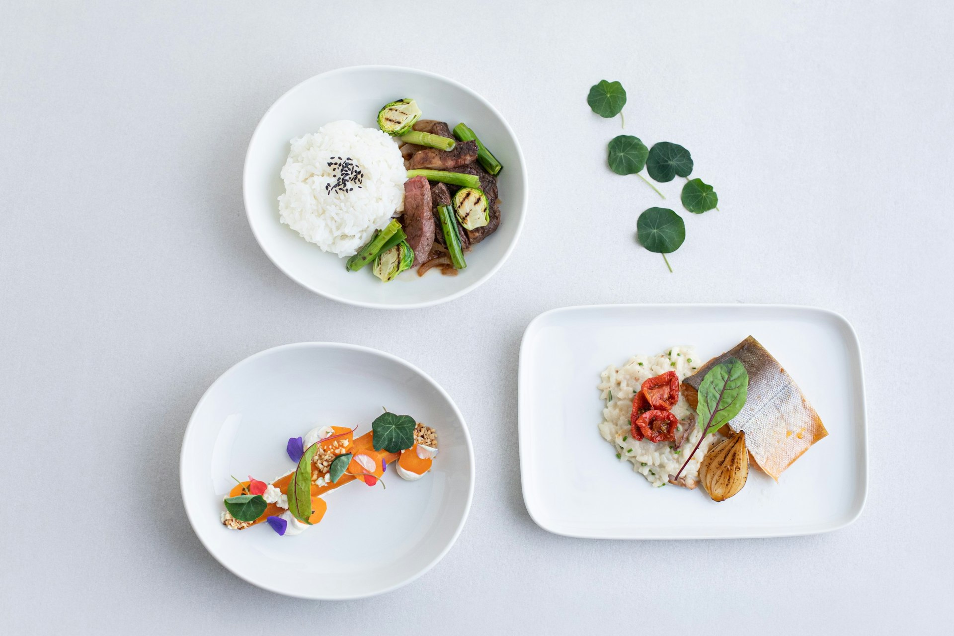 An airline meal in three bowls on a white background