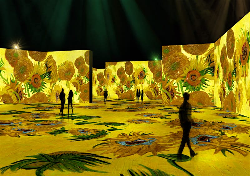 Immersive Vincent Van Gogh Exhibitions Are Coming To Venues In The Us And Canada Lonely Planet