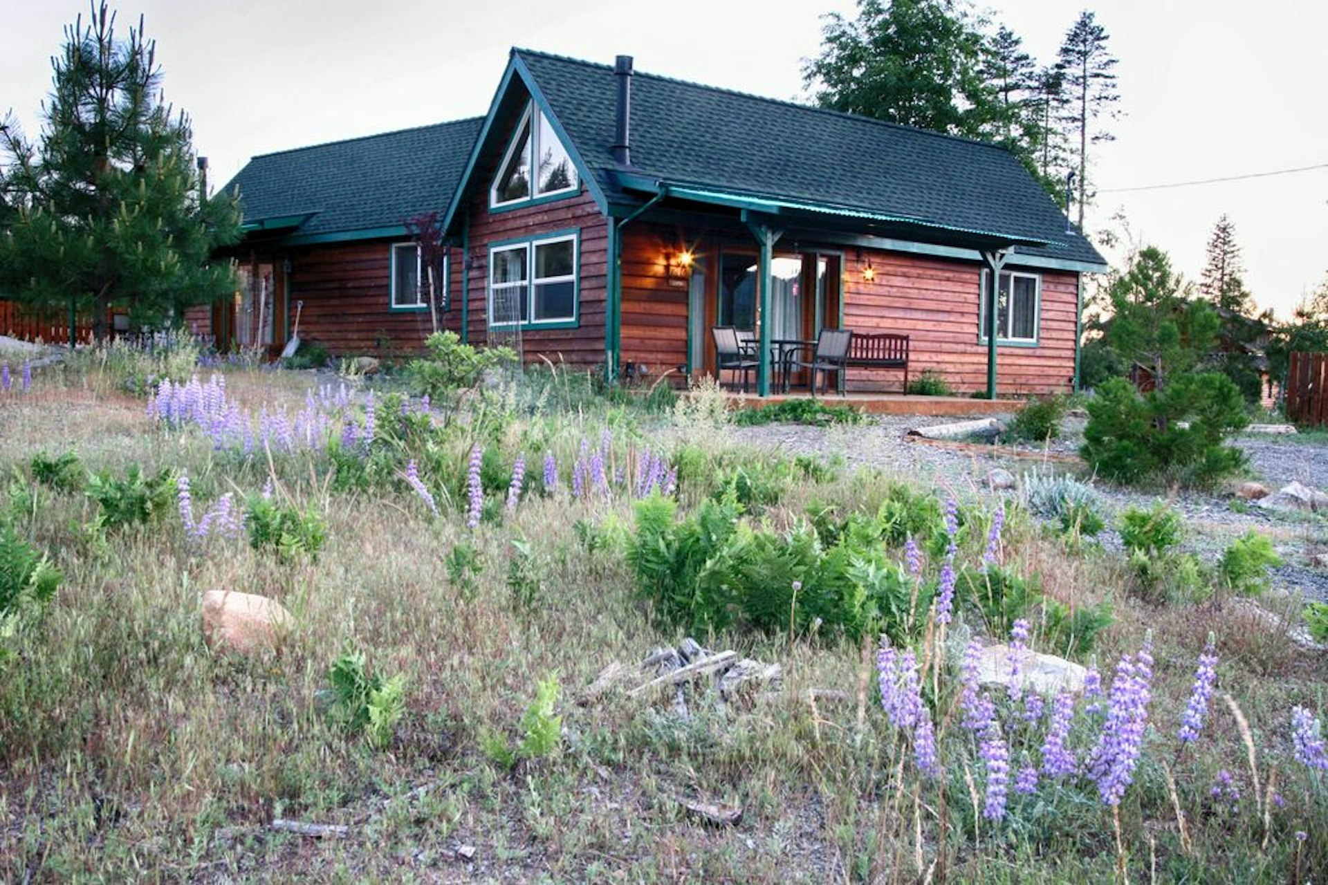 A cabin in a field of tall purple wildflowers
