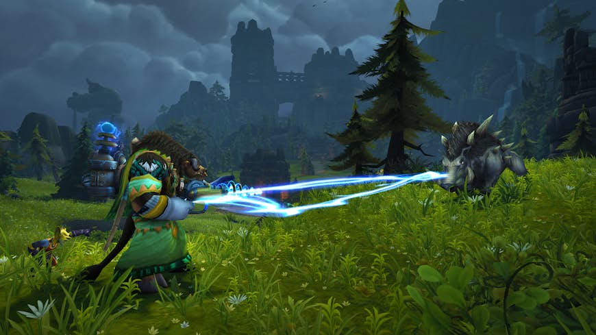 En karaktär i World of Warcraft-spelet slåss mot en galt på landsbygden.