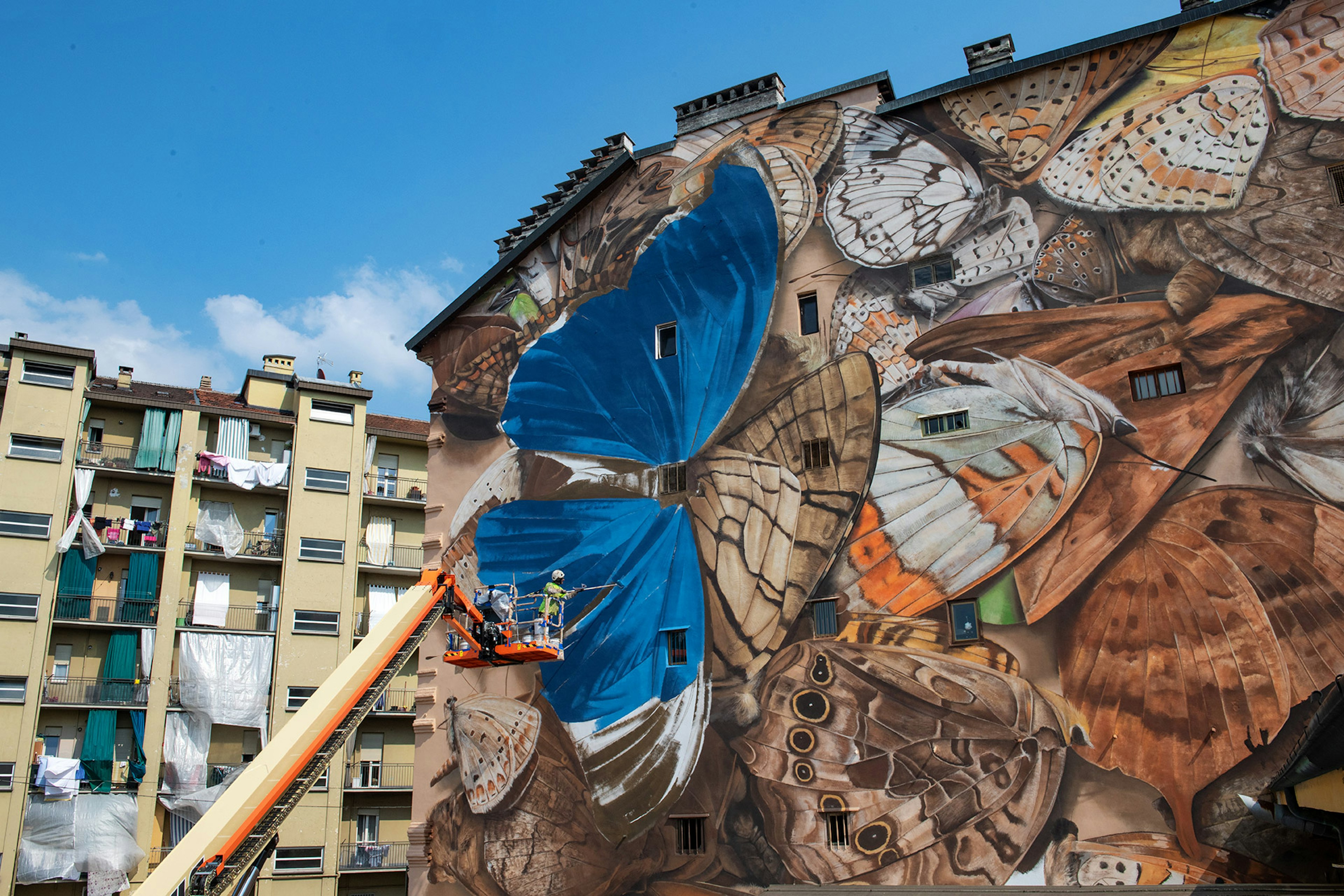 A picture of Mantra working on a mural in Turin