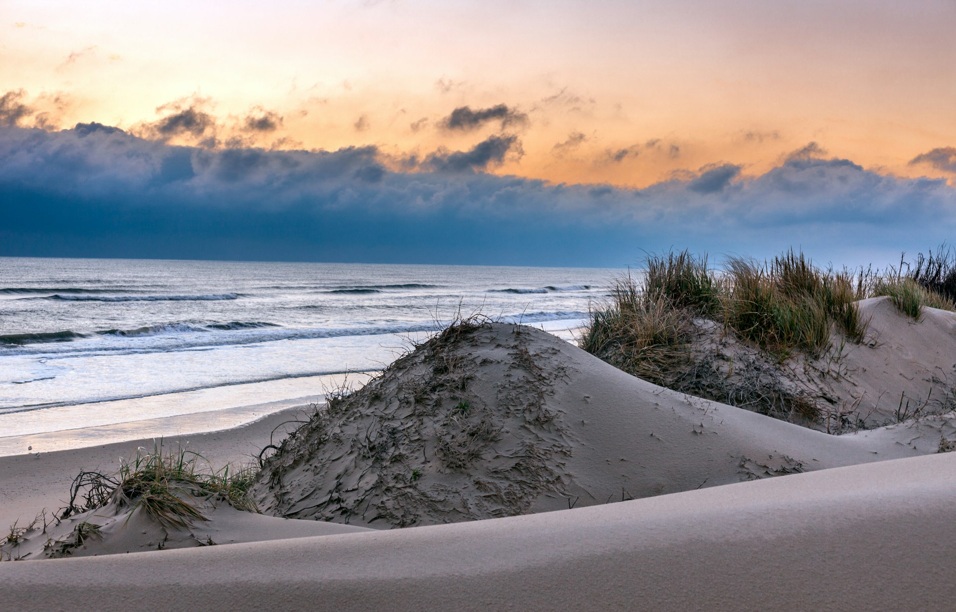 Sand dunes during a winter sunrise on a beach in the Outer Banks