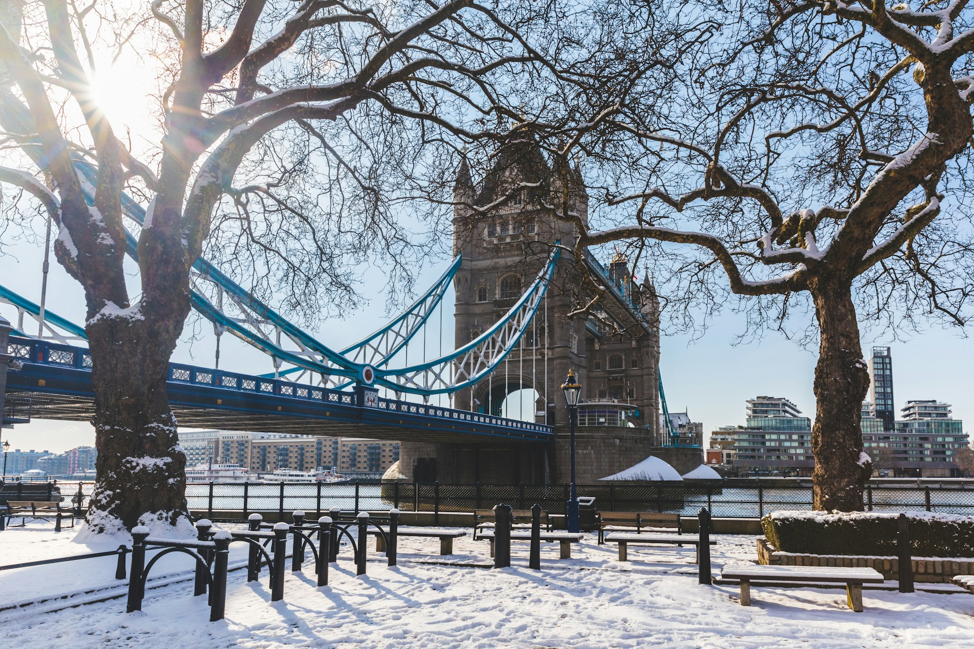 Tower Bridge and trees in London with snow