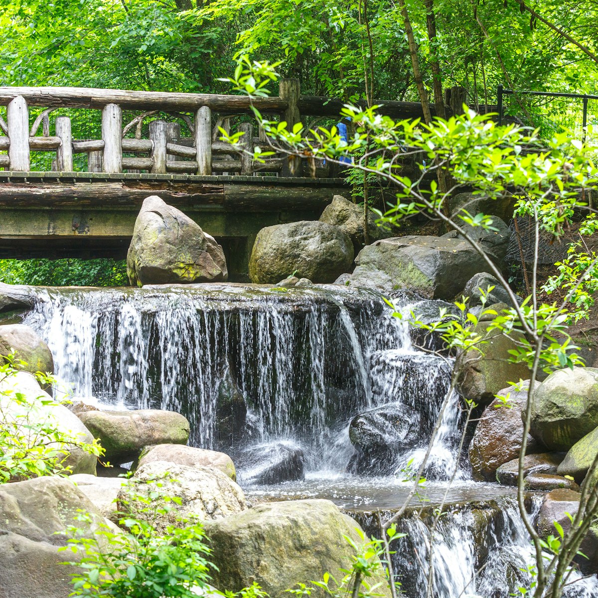 June 6, 2018: A small waterfall and bridge at Prospect Park in Brooklyn.