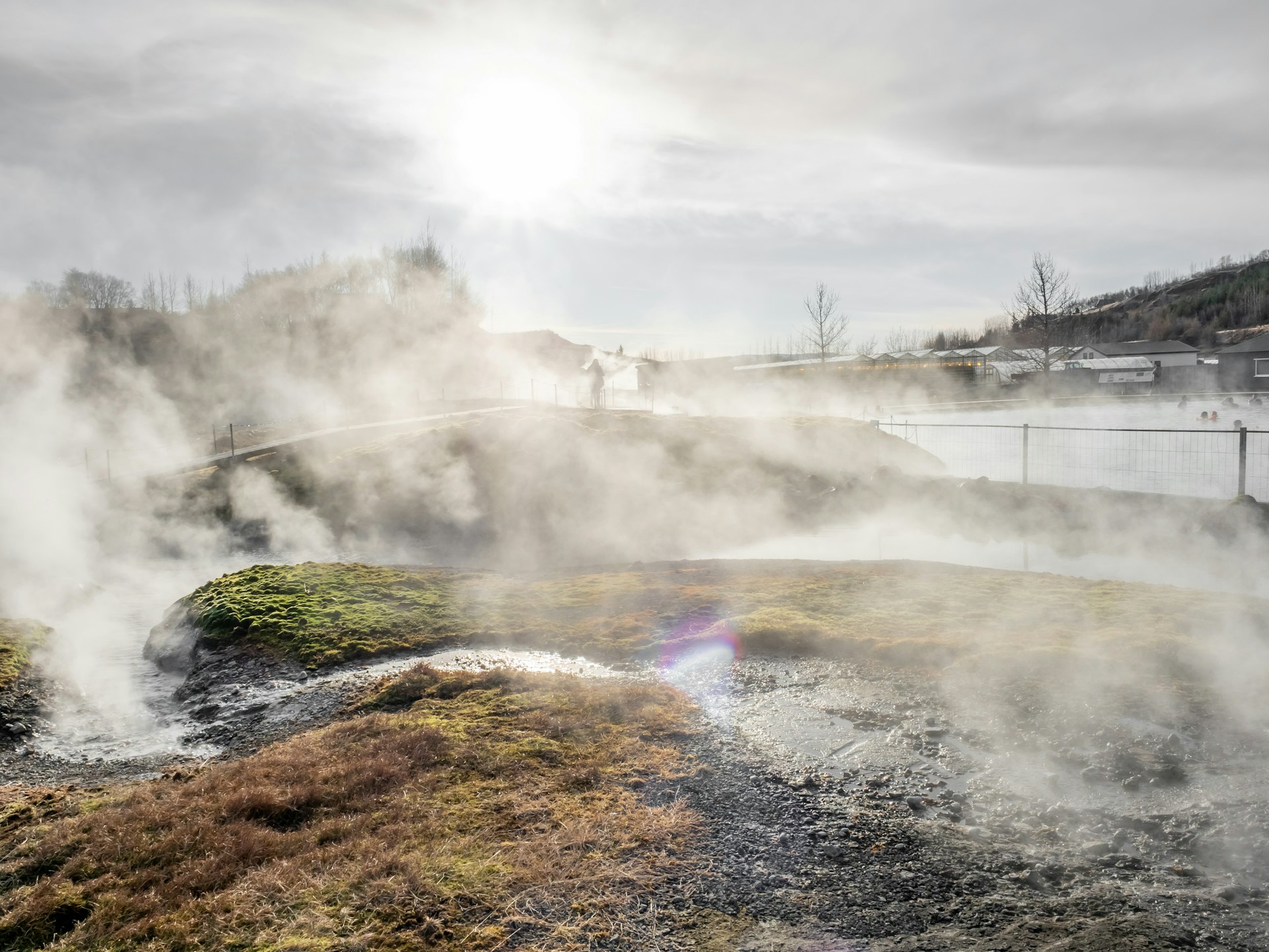 Steam rising from a grassy area near to a thermal pool